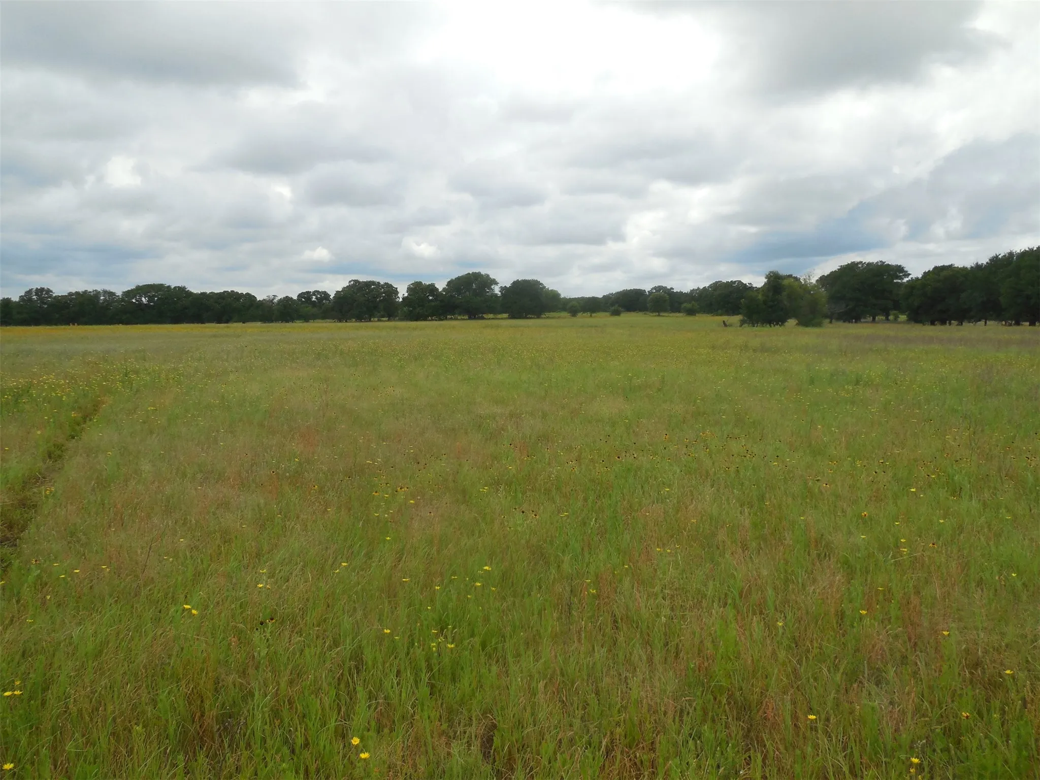 Unimproved Land For Sale in Eastland County , TBD County Road 488, Ranger, Texas 76470, 0, 0, Garage spaces, 0 Sqft, built in 0, mls#21379112, Real Estate Agent in Ranger, Homes For Sale in Eastland county, Homes For Sale in Ranger, Realtor in Ranger Texas, Real Estate Brokerage Independent Realty Texas, Luminita Cordes Realtor