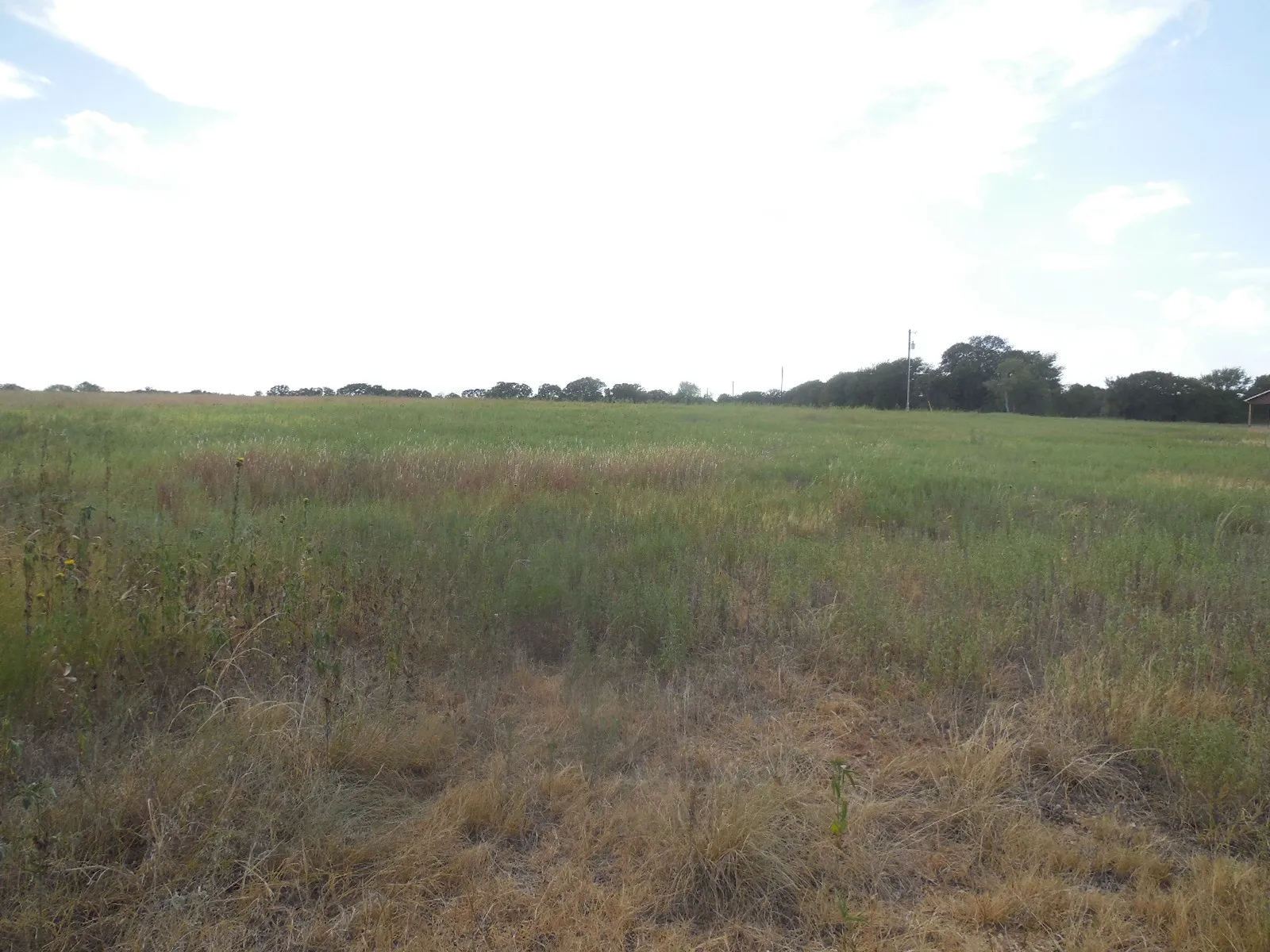 Unimproved Land For Sale in Eastland County , TBD County Road 488, Ranger, Texas 76470, 0, 0, Garage spaces, 0 Sqft, built in 0, mls#21379112, Real Estate Agent in Ranger, Homes For Sale in Eastland county, Homes For Sale in Ranger, Realtor in Ranger Texas, Real Estate Brokerage Independent Realty Texas, Luminita Cordes Realtor