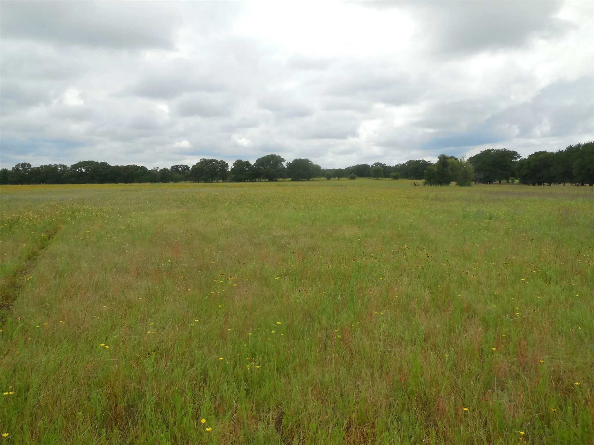 Unimproved Land For Sale in Eastland County , TBD County Road 488, Ranger, Texas 76470, 0, 0, Garage spaces, 0 Sqft, built in 0, mls#21379112, Real Estate Agent in Ranger, Homes For Sale in Eastland county, Homes For Sale in Ranger, Realtor in Ranger Texas, Real Estate Brokerage Independent Realty Texas, Luminita Cordes Realtor