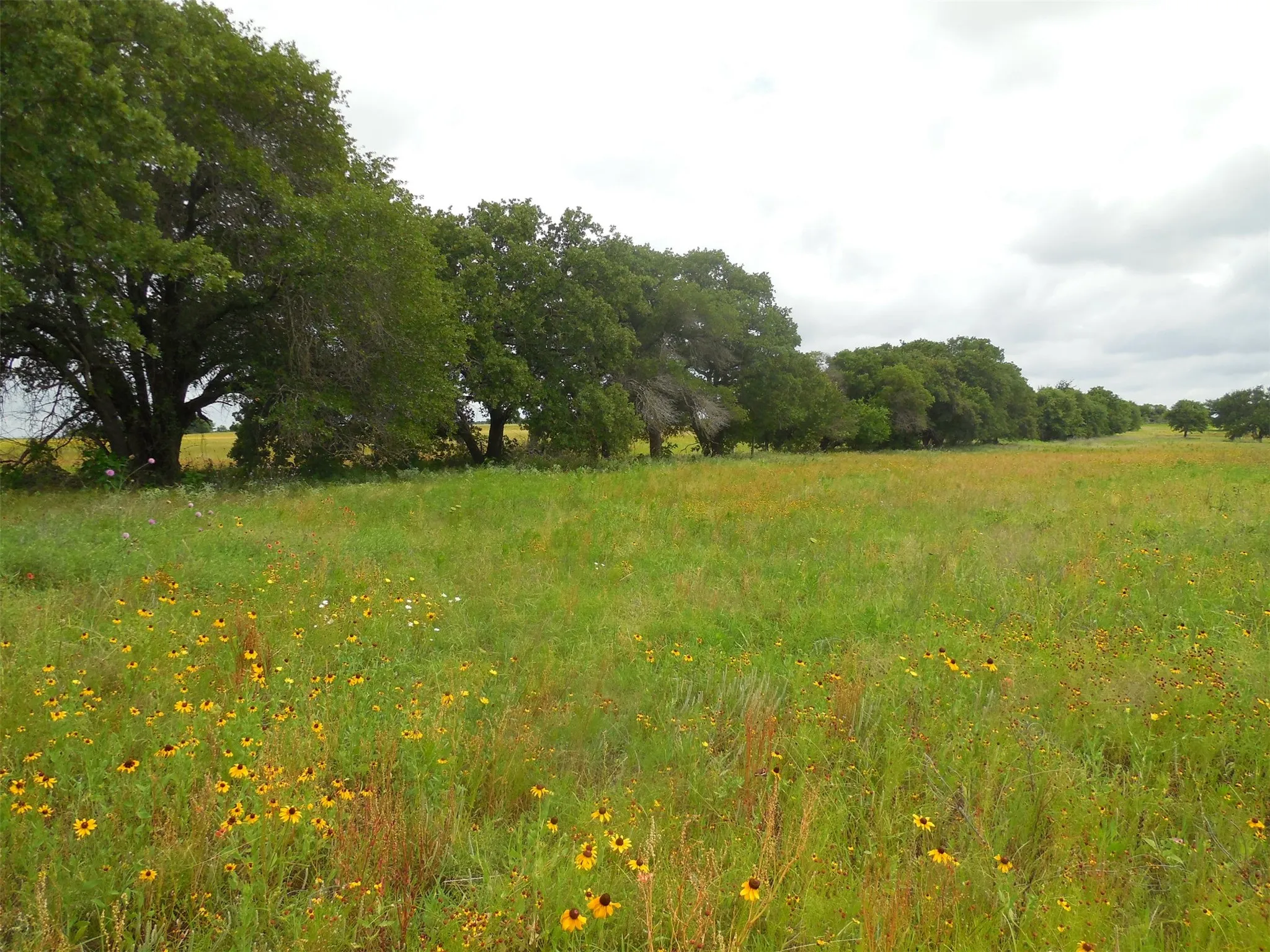 Unimproved Land For Sale in Eastland County , TBD County Road 488, Ranger, Texas 76470, 0, 0, Garage spaces, 0 Sqft, built in 0, mls#21379112, Real Estate Agent in Ranger, Homes For Sale in Eastland county, Homes For Sale in Ranger, Realtor in Ranger Texas, Real Estate Brokerage Independent Realty Texas, Luminita Cordes Realtor
