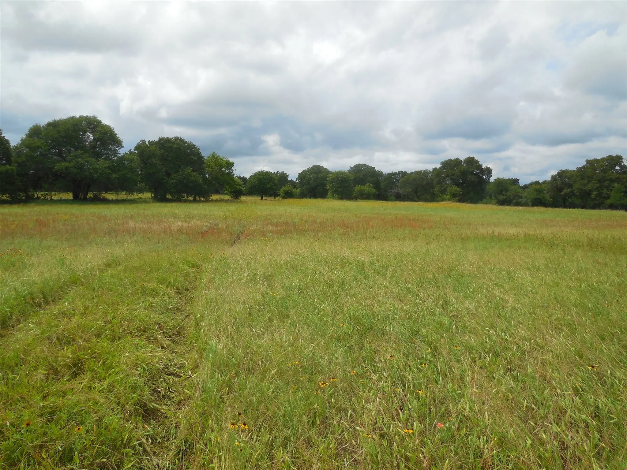 Unimproved Land For Sale