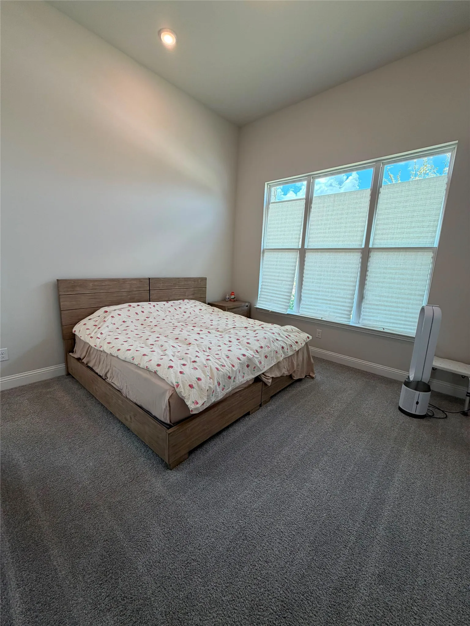 Recessed lighting, high ceiling, wall-to-wall carpeting, and a multi-pane window