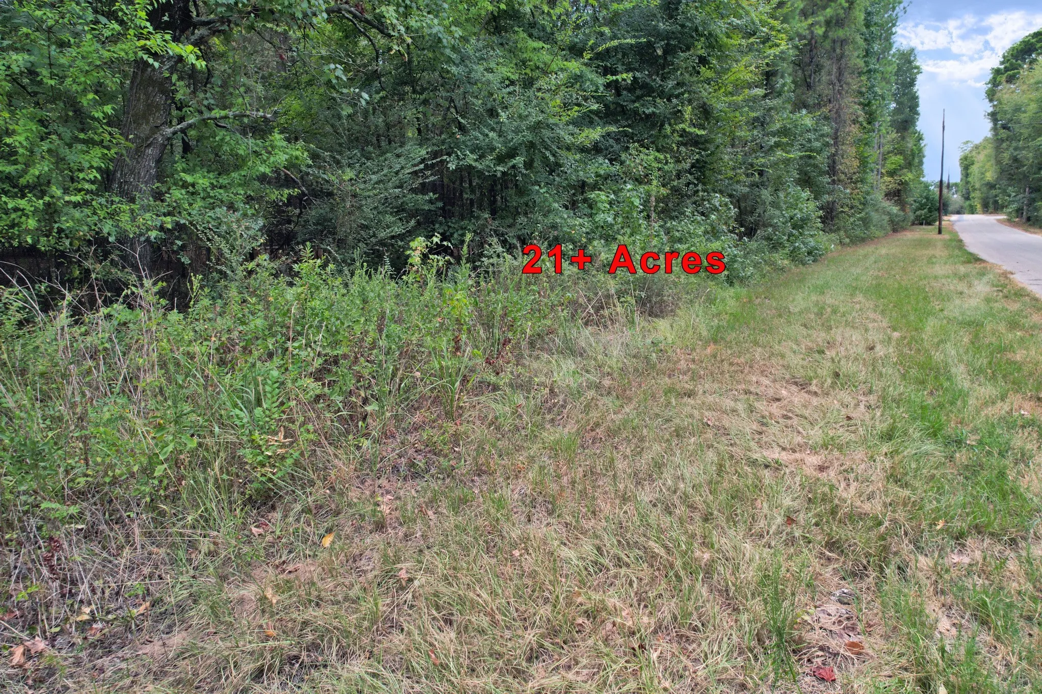 Unimproved Land For Sale in Wood County , TBD Fm 69, Quitman, Texas 75783, 0, 0, Garage spaces, 0 Sqft, built in 0, mls#21370939, Real Estate Agent in Quitman, Homes For Sale in Wood county, Homes For Sale in Quitman, Realtor in Quitman Texas, Real Estate Brokerage Independent Realty Texas, Luminita Cordes Realtor