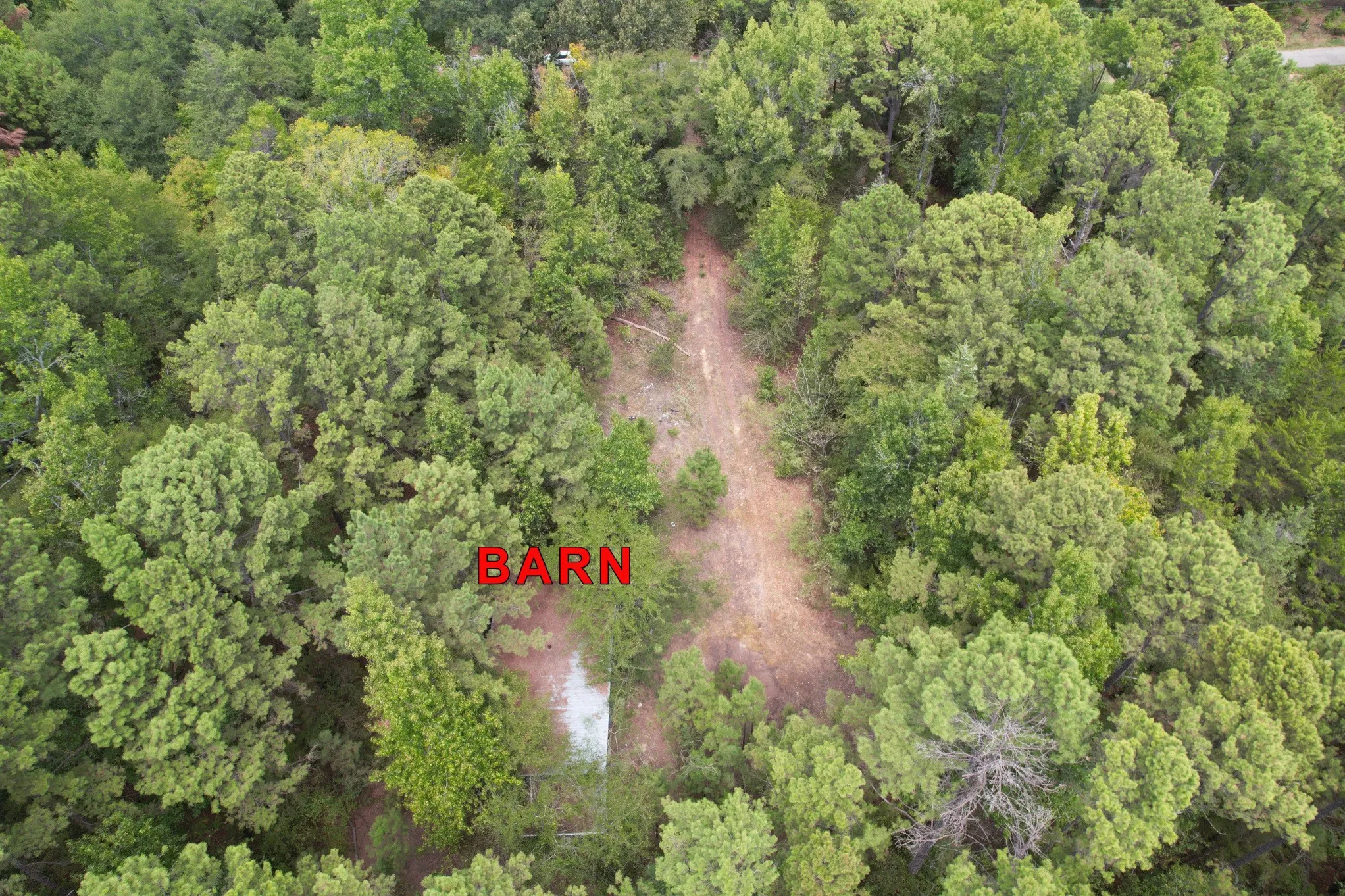 Unimproved Land For Sale in Wood County , TBD Fm 69, Quitman, Texas 75783, 0, 0, Garage spaces, 0 Sqft, built in 0, mls#21370939, Real Estate Agent in Quitman, Homes For Sale in Wood county, Homes For Sale in Quitman, Realtor in Quitman Texas, Real Estate Brokerage Independent Realty Texas, Luminita Cordes Realtor