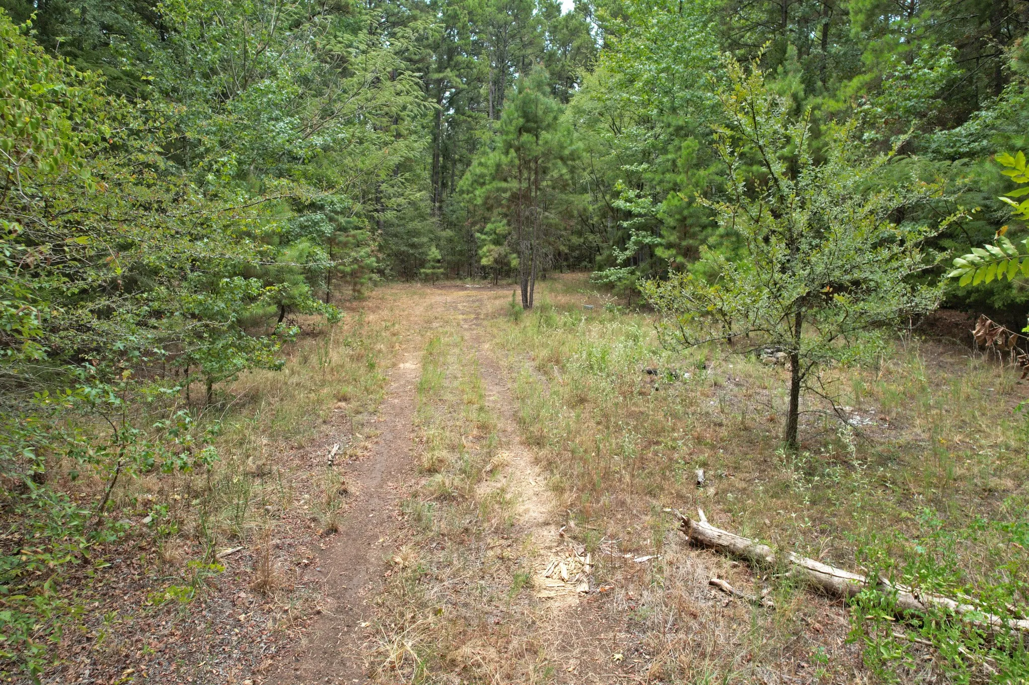 Unimproved Land For Sale in Wood County , TBD Fm 69, Quitman, Texas 75783, 0, 0, Garage spaces, 0 Sqft, built in 0, mls#21370939, Real Estate Agent in Quitman, Homes For Sale in Wood county, Homes For Sale in Quitman, Realtor in Quitman Texas, Real Estate Brokerage Independent Realty Texas, Luminita Cordes Realtor