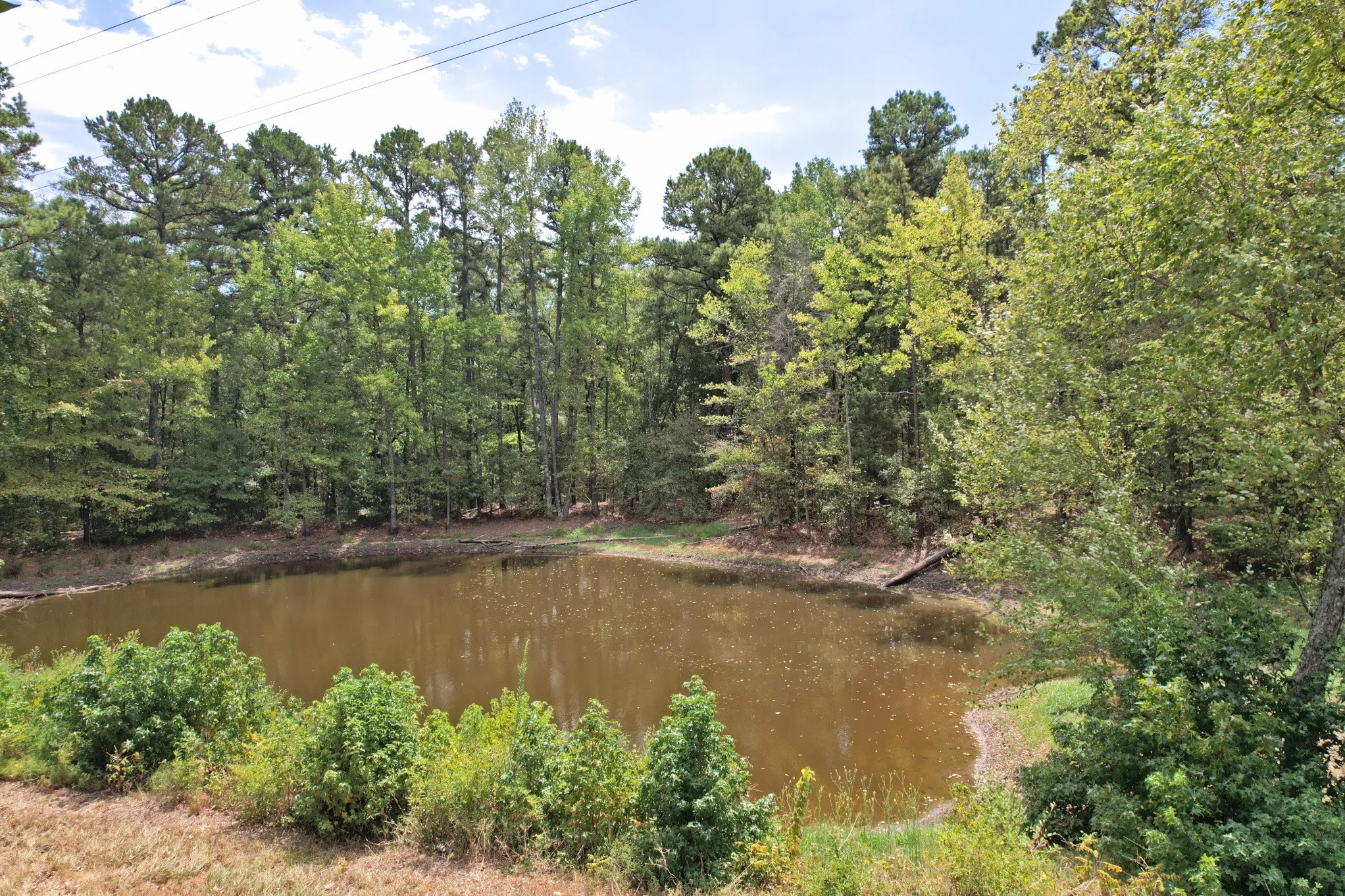 Unimproved Land For Sale in Wood County , TBD Fm 69, Quitman, Texas 75783, 0, 0, Garage spaces, 0 Sqft, built in 0, mls#21370939, Real Estate Agent in Quitman, Homes For Sale in Wood county, Homes For Sale in Quitman, Realtor in Quitman Texas, Real Estate Brokerage Independent Realty Texas, Luminita Cordes Realtor