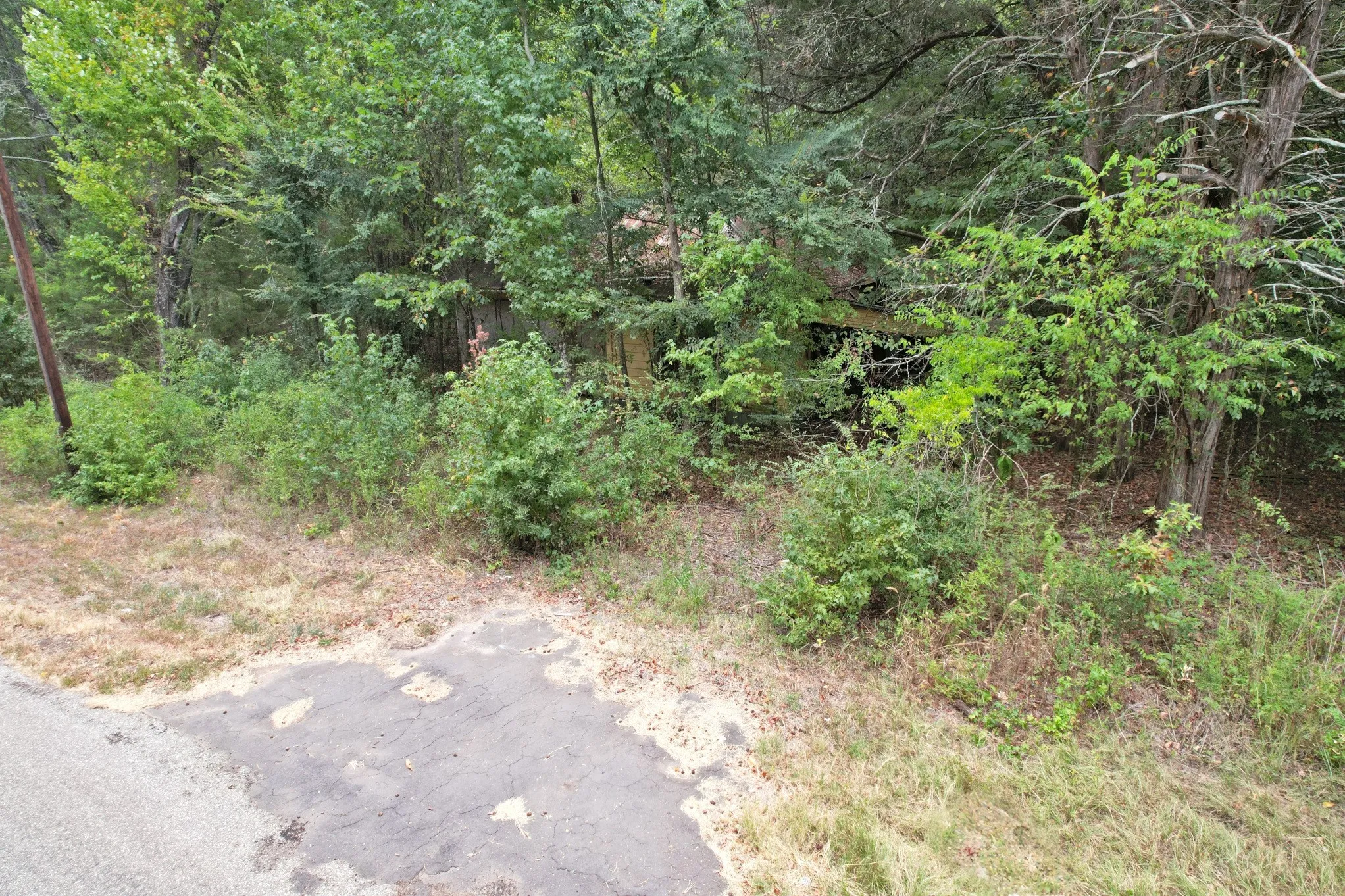 Unimproved Land For Sale in Wood County , TBD Fm 69, Quitman, Texas 75783, 0, 0, Garage spaces, 0 Sqft, built in 0, mls#21370939, Real Estate Agent in Quitman, Homes For Sale in Wood county, Homes For Sale in Quitman, Realtor in Quitman Texas, Real Estate Brokerage Independent Realty Texas, Luminita Cordes Realtor