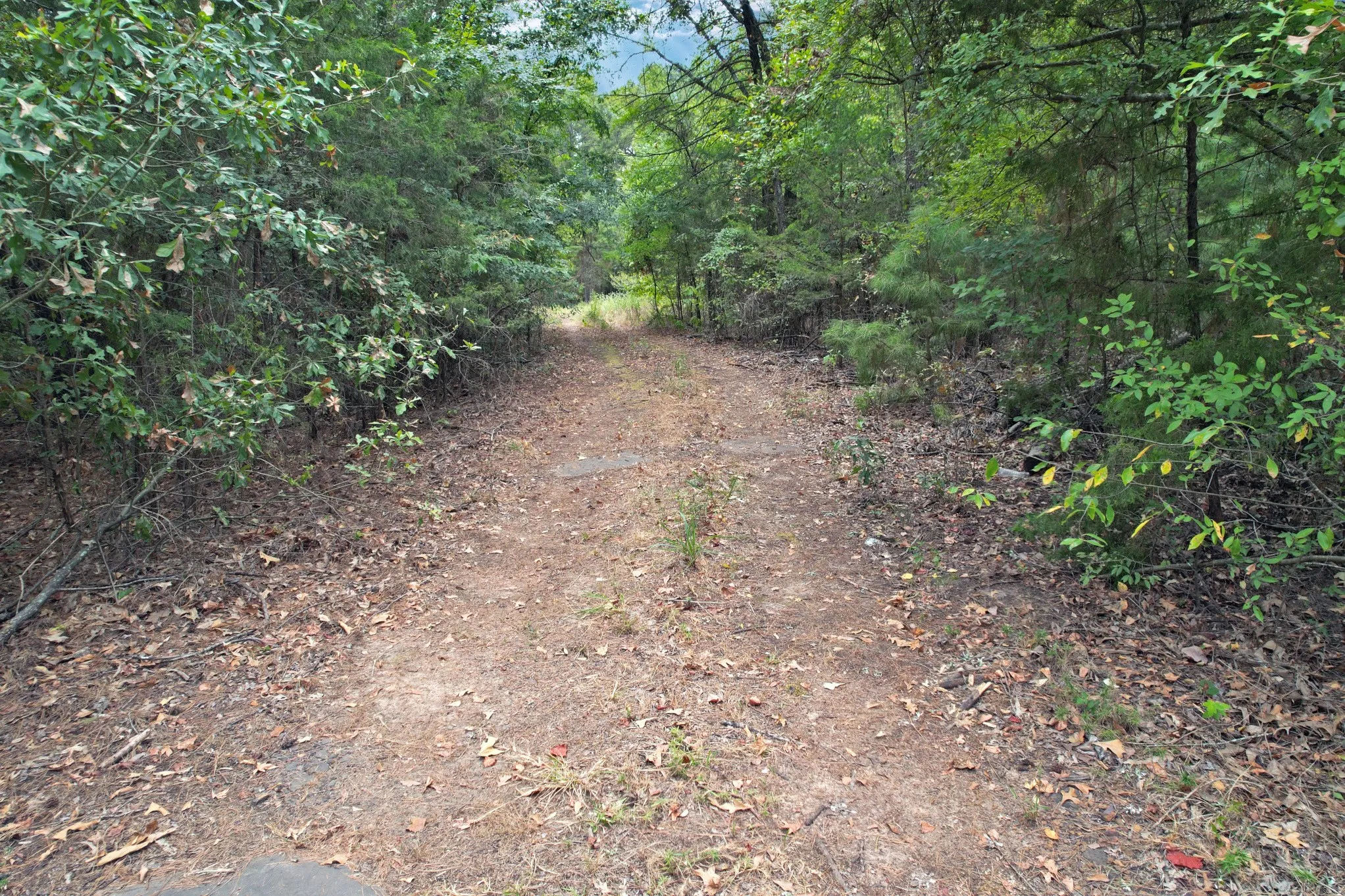 Unimproved Land For Sale in Wood County , TBD Fm 69, Quitman, Texas 75783, 0, 0, Garage spaces, 0 Sqft, built in 0, mls#21370939, Real Estate Agent in Quitman, Homes For Sale in Wood county, Homes For Sale in Quitman, Realtor in Quitman Texas, Real Estate Brokerage Independent Realty Texas, Luminita Cordes Realtor