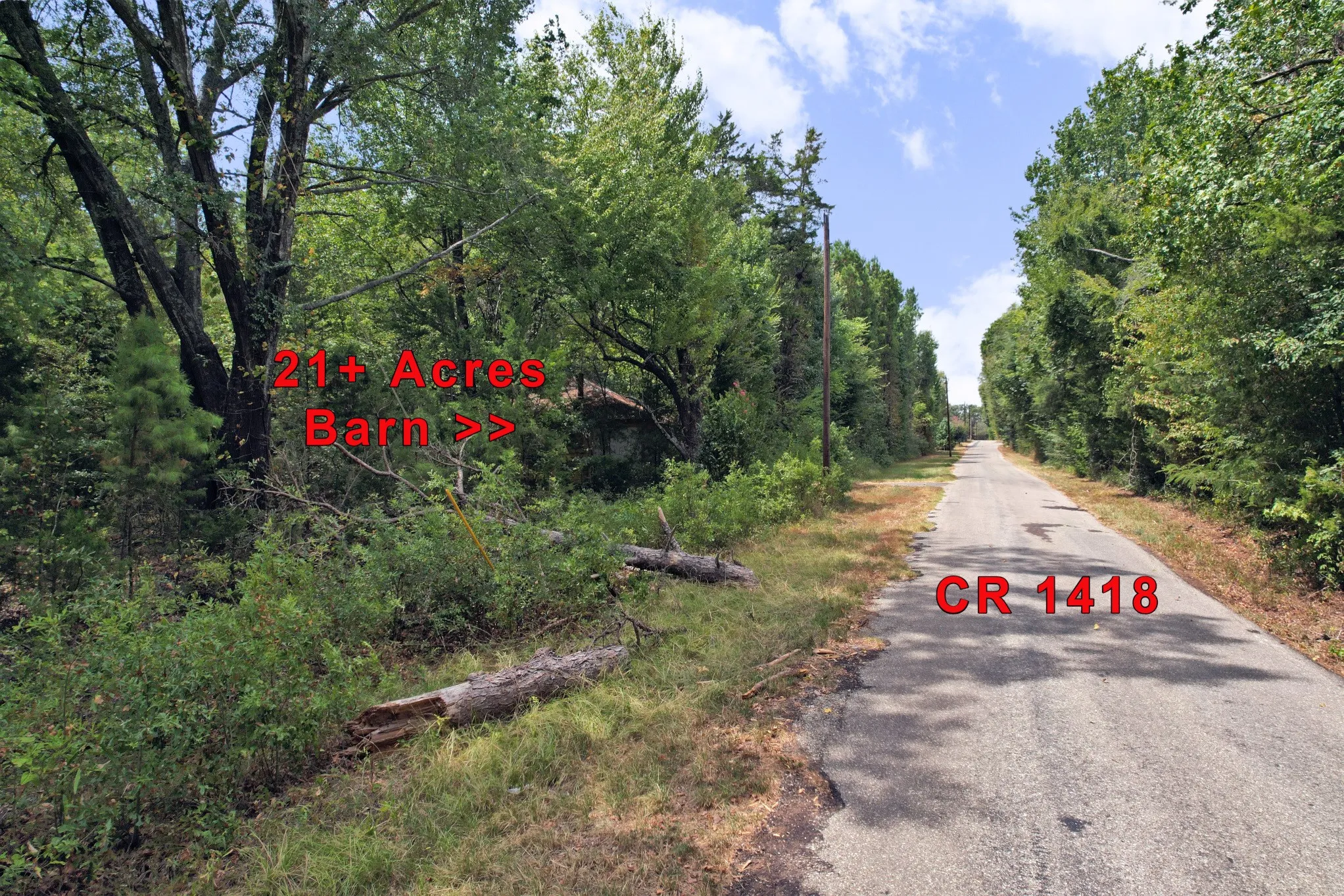 Unimproved Land For Sale in Wood County , TBD Fm 69, Quitman, Texas 75783, 0, 0, Garage spaces, 0 Sqft, built in 0, mls#21370939, Real Estate Agent in Quitman, Homes For Sale in Wood county, Homes For Sale in Quitman, Realtor in Quitman Texas, Real Estate Brokerage Independent Realty Texas, Luminita Cordes Realtor
