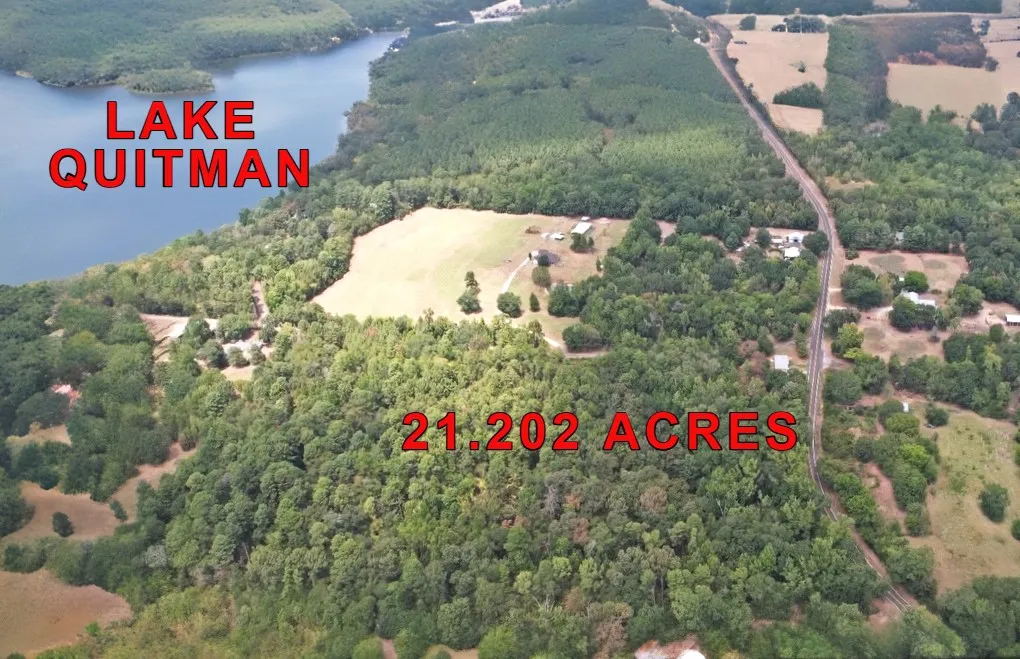 Unimproved Land For Sale in Wood County , TBD Fm 69, Quitman, Texas 75783, 0, 0, Garage spaces, 0 Sqft, built in 0, mls#21370939, Real Estate Agent in Quitman, Homes For Sale in Wood county, Homes For Sale in Quitman, Realtor in Quitman Texas, Real Estate Brokerage Independent Realty Texas, Luminita Cordes Realtor