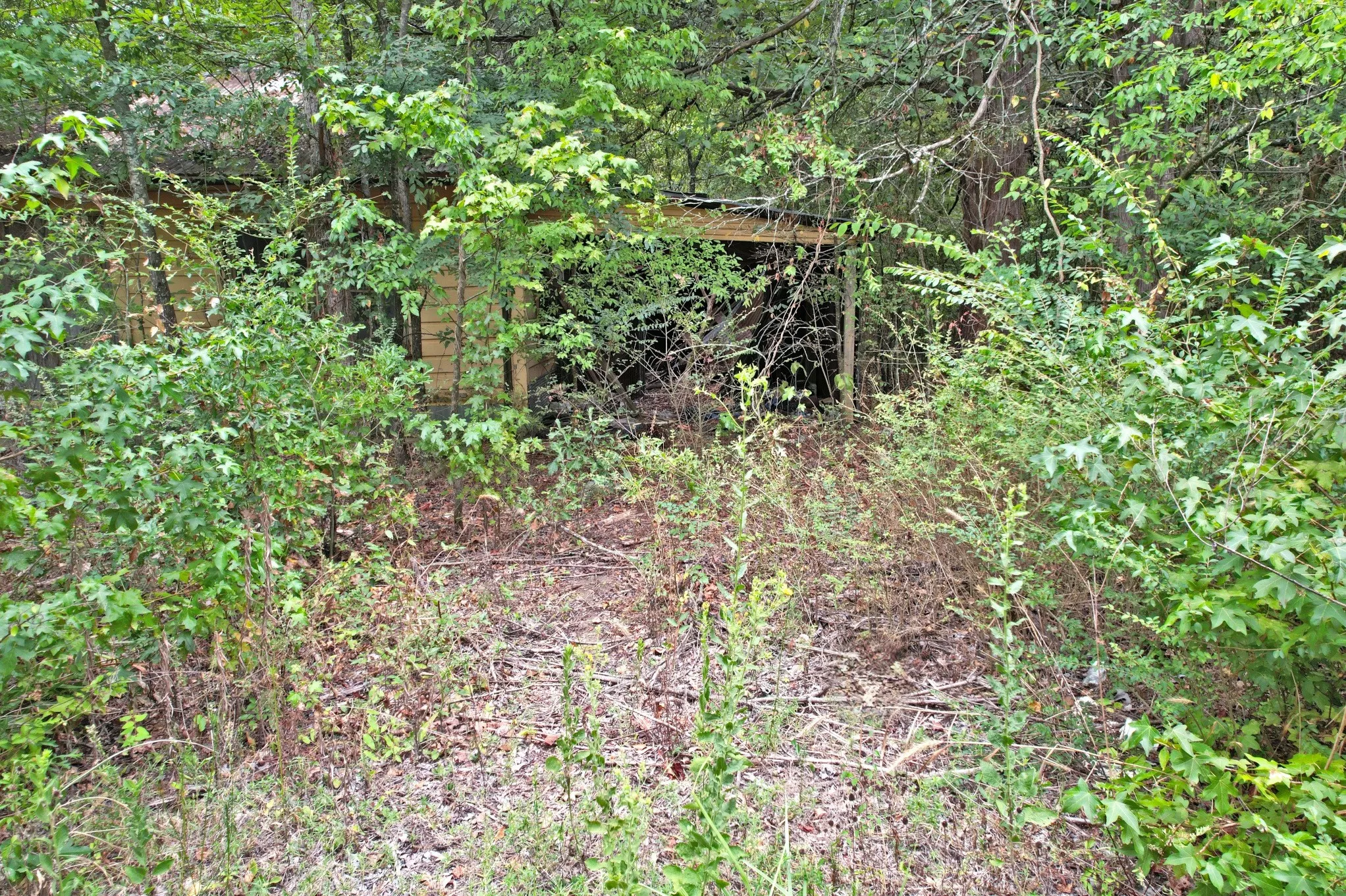 Unimproved Land For Sale in Wood County , TBD Fm 69, Quitman, Texas 75783, 0, 0, Garage spaces, 0 Sqft, built in 0, mls#21370939, Real Estate Agent in Quitman, Homes For Sale in Wood county, Homes For Sale in Quitman, Realtor in Quitman Texas, Real Estate Brokerage Independent Realty Texas, Luminita Cordes Realtor