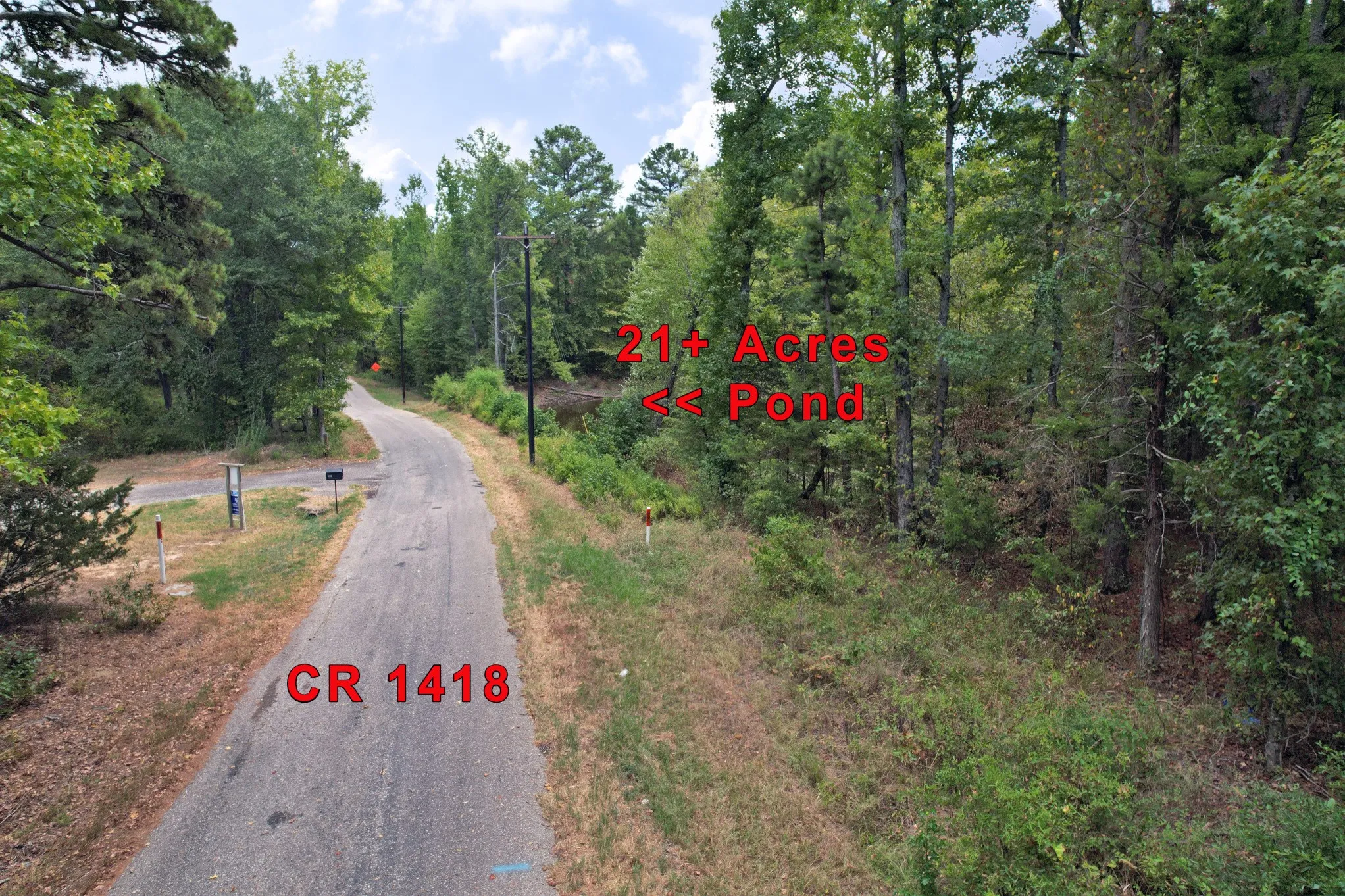 Unimproved Land For Sale in Wood County , TBD Fm 69, Quitman, Texas 75783, 0, 0, Garage spaces, 0 Sqft, built in 0, mls#21370939, Real Estate Agent in Quitman, Homes For Sale in Wood county, Homes For Sale in Quitman, Realtor in Quitman Texas, Real Estate Brokerage Independent Realty Texas, Luminita Cordes Realtor