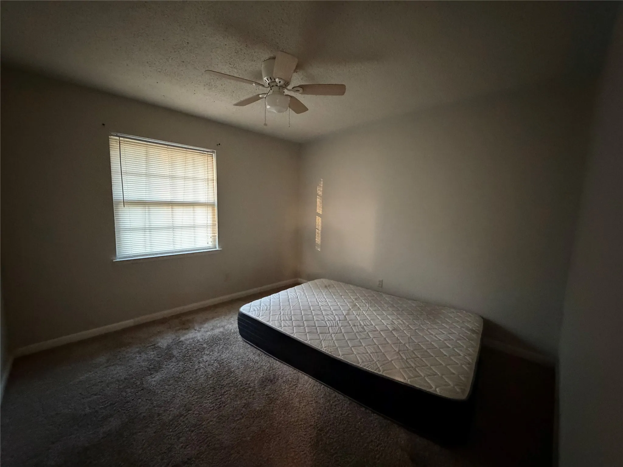 Carpeted room featuring a window with blinds and a ceiling fan with integrated lighting