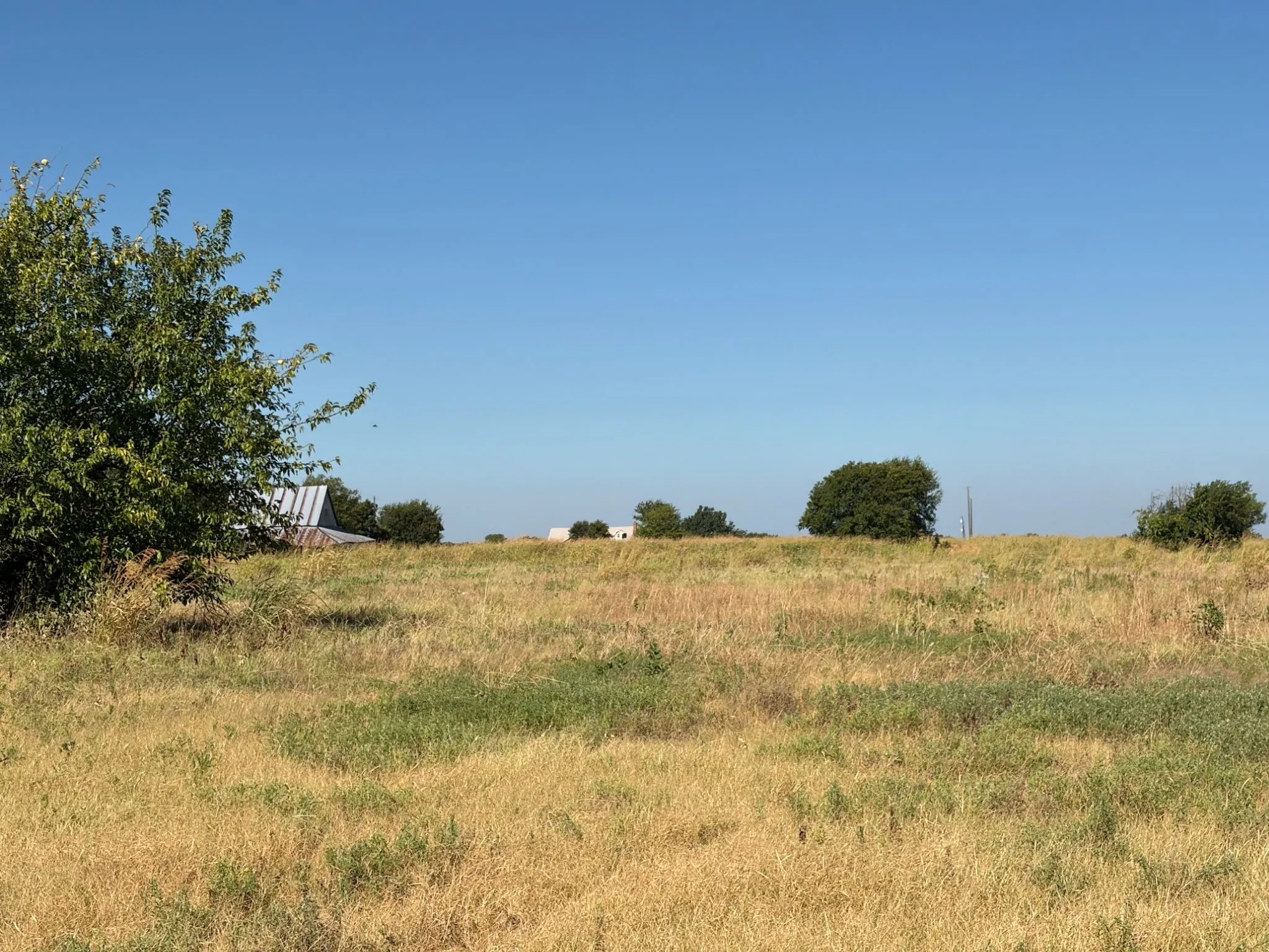 Expansive open field with natural vegetation and distant structures