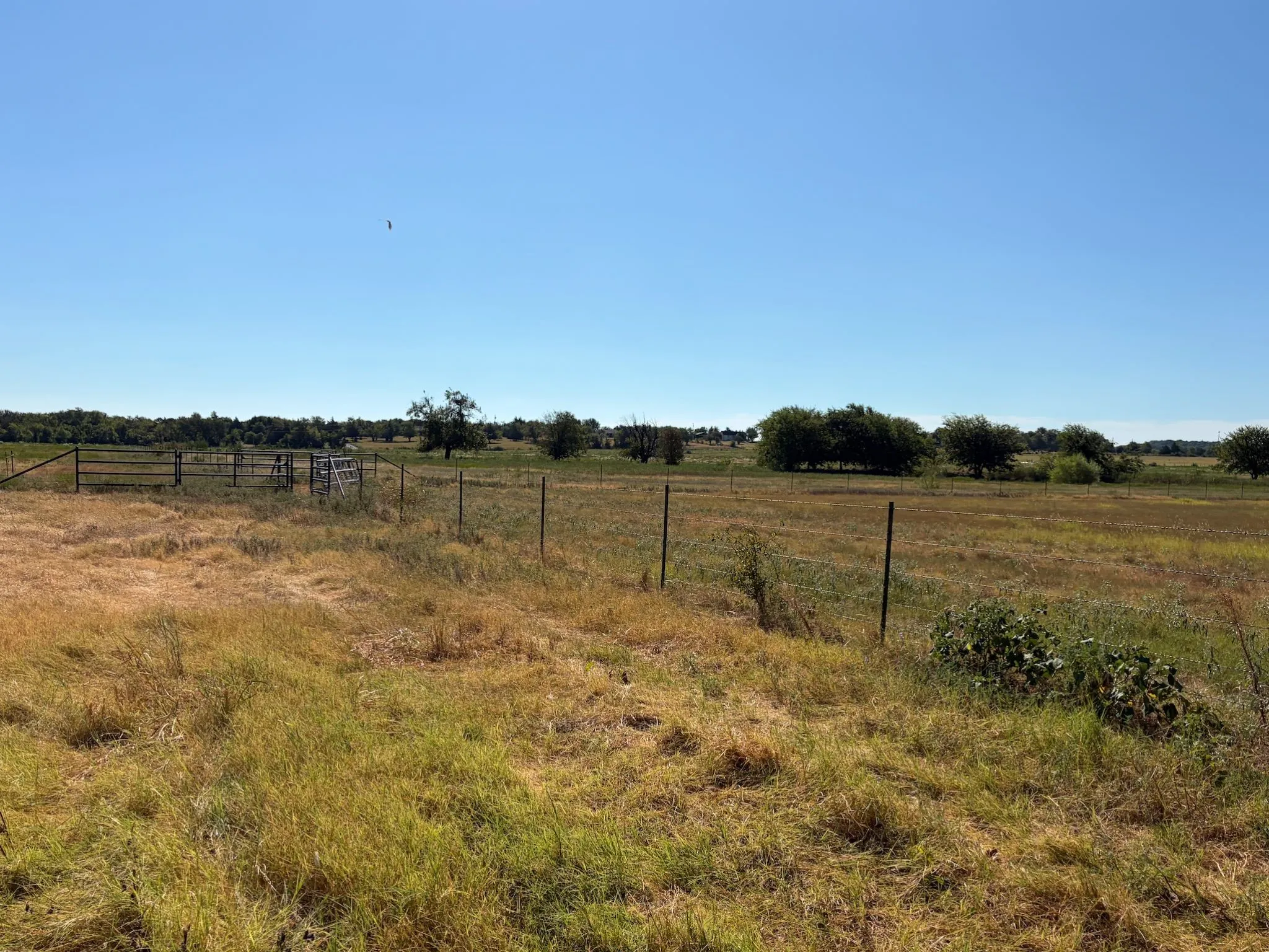 Expansive open land featuring a clear sky, distant tree line, and a partial wire fence