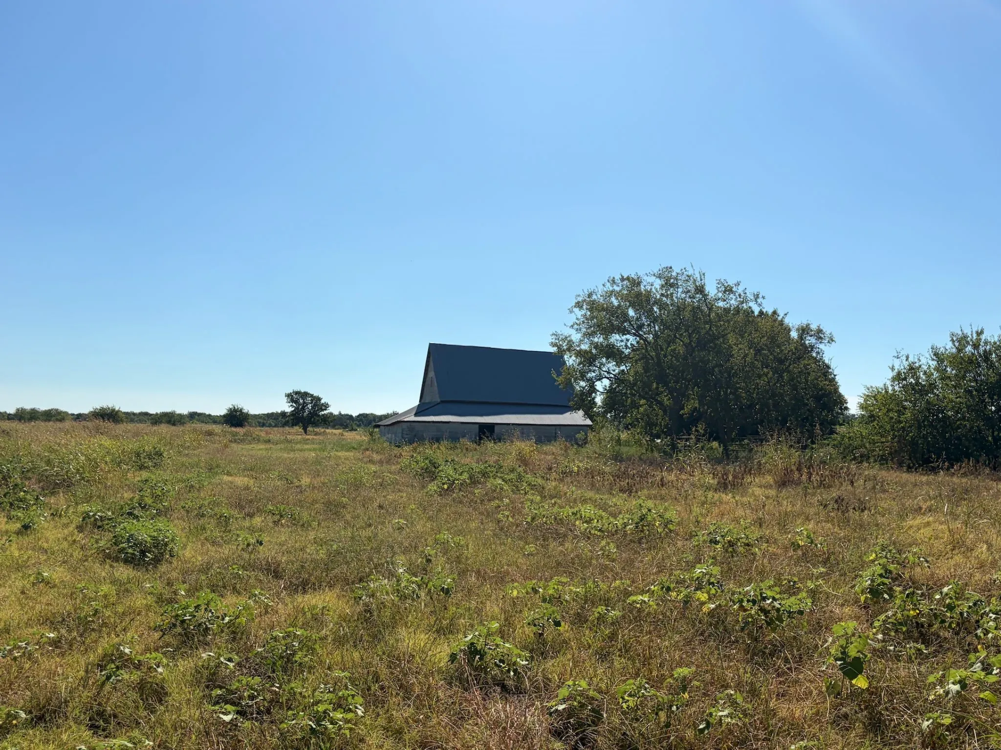 Unimproved Land For Sale in Grayson County , Ranches of Denison Lot 5 Katy Ln., Pottsboro, Texas 75076, 0, 0, Garage spaces, 0 Sqft, built in 0, mls#21379111, Real Estate Agent in Pottsboro, Homes For Sale in Grayson county, Homes For Sale in Pottsboro, Realtor in Pottsboro Texas, Real Estate Brokerage Independent Realty Texas, Luminita Cordes Realtor