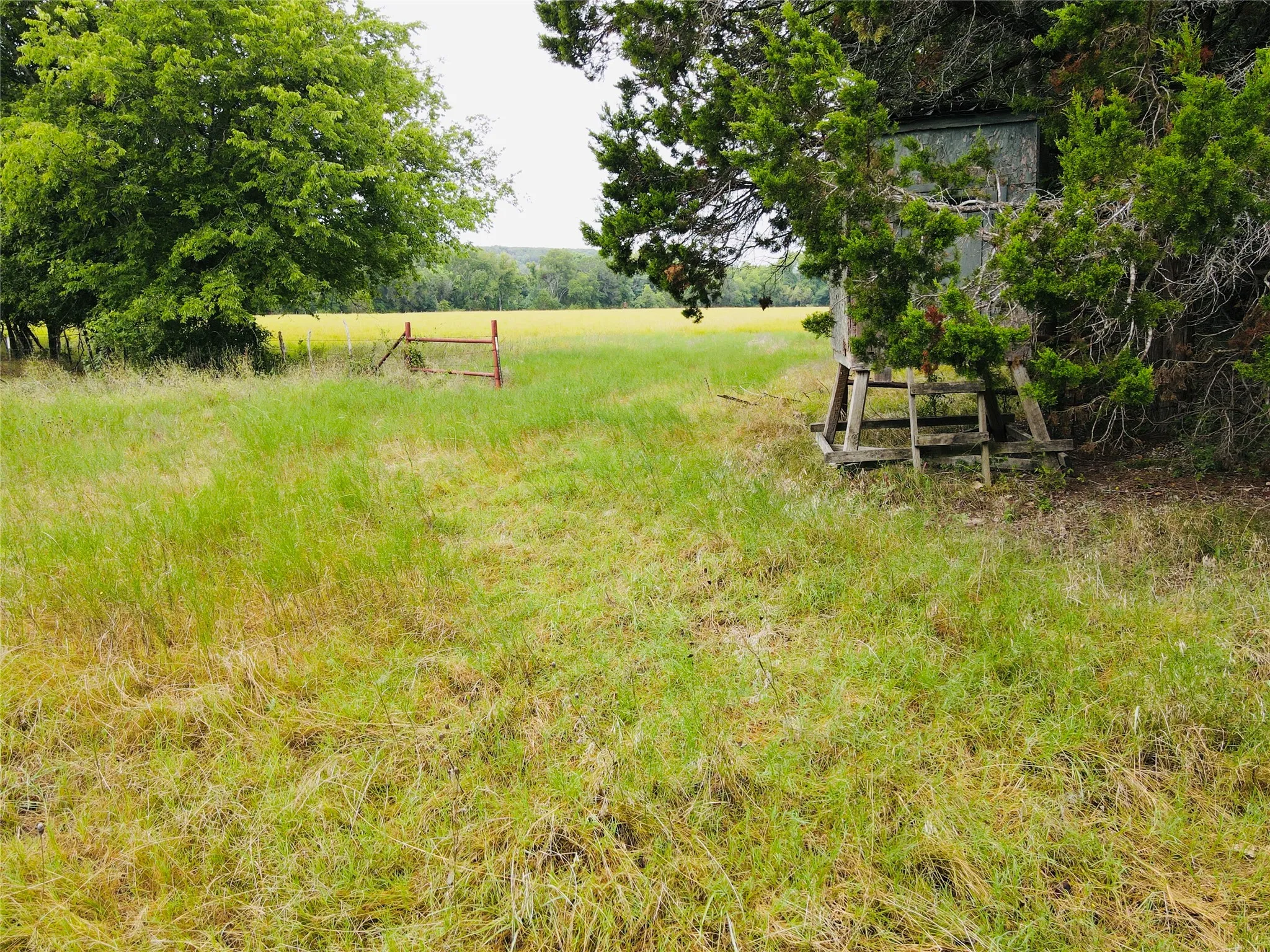 Unimproved Land For Sale in Coryell County , TBD Fm 215 Tract 6, Valley Mills, Texas 76689, 0, 0, Garage spaces, 0 Sqft, built in 0, mls#21379119, Real Estate Agent in Valley Mills, Homes For Sale in Coryell county, Homes For Sale in Valley Mills, Realtor in Valley Mills Texas, Real Estate Brokerage Independent Realty Texas, Luminita Cordes Realtor