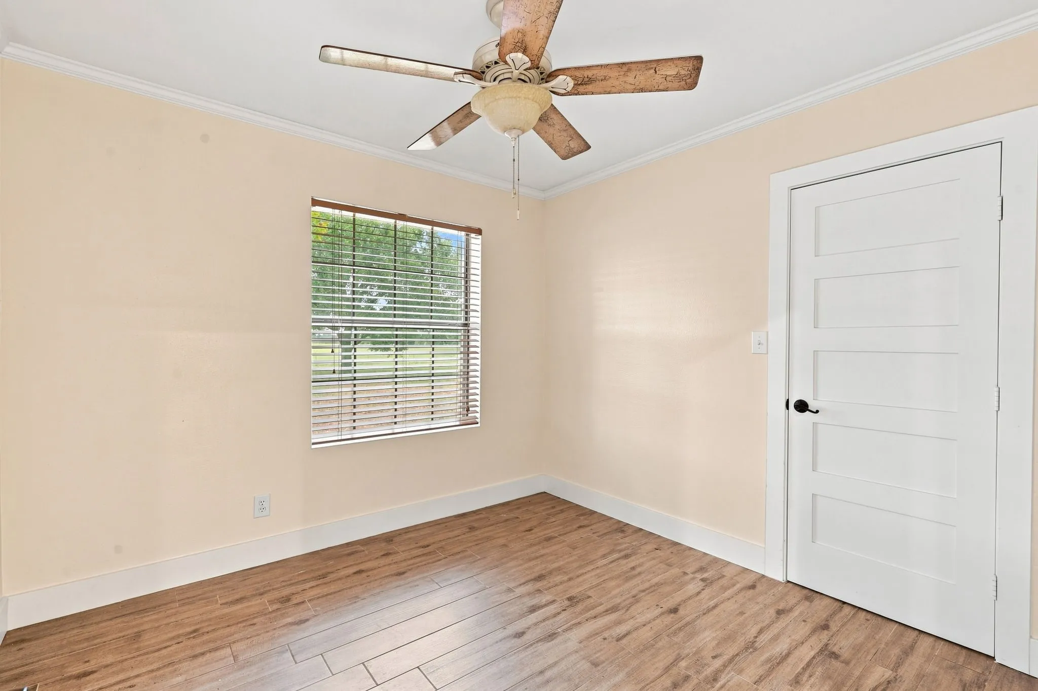 Wood-finish flooring, ceiling fan, crown molding, white trim, and a white panel door with black hardware