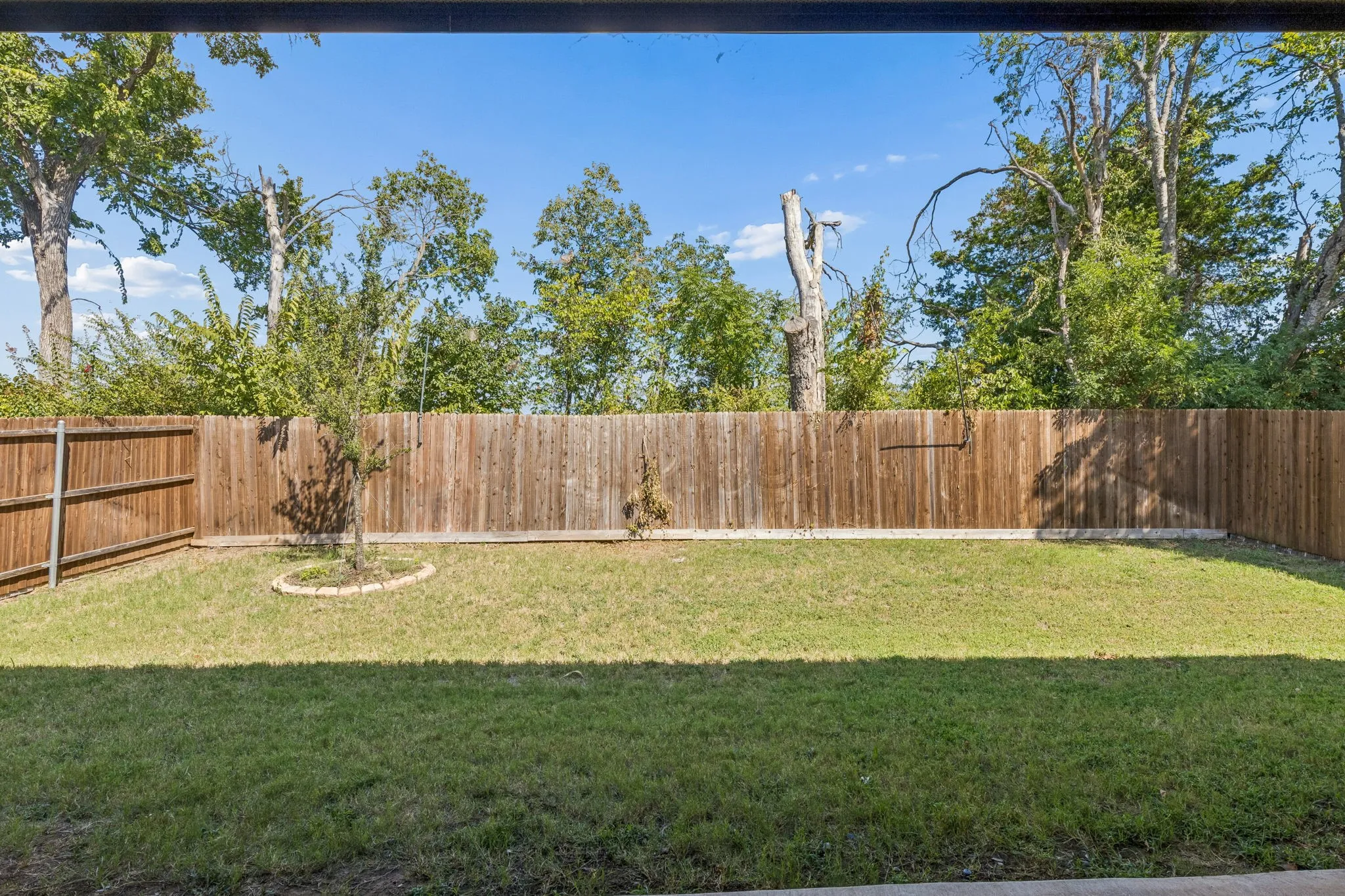 Fenced backyard with a grassy lawn, mature perimeter trees, and a young tree with stone-edged landscaping