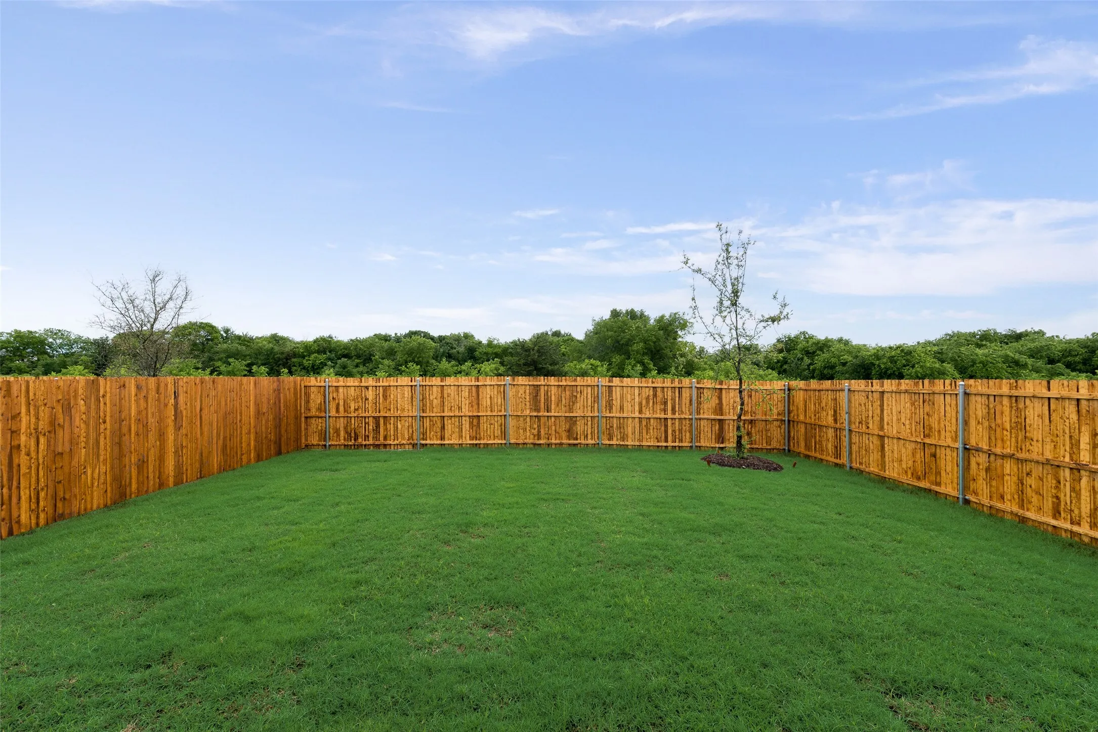 Single Family Residence For Rent in Collin County , 207 bradford Drive, Princeton, Texas 75407, 5 Bedroom, 3 Bathroom, 2 Garage spaces, 2,609 Sqft, built in 2025, mls#21379165, Real Estate Agent in Princeton, Homes For Rent in Collin county, Homes For Rent in Princeton, Realtor in Princeton Texas, Real Estate Brokerage Independent Realty Texas, Luminita Cordes Realtor