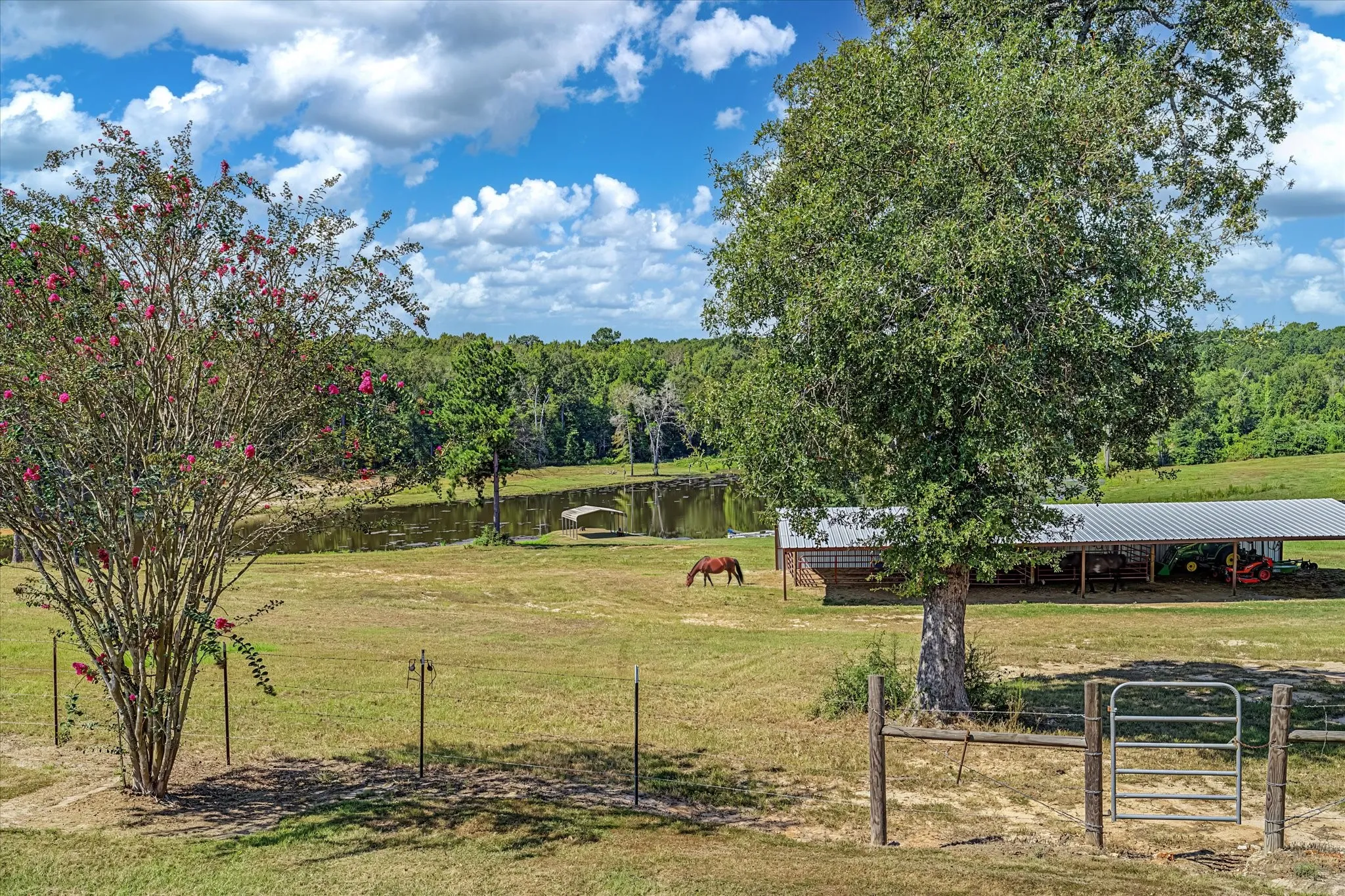 View of stocked 4 ac pond, horse barn with misting system, electric fence fully enclosing the property and beautiful crape myrtle trees.