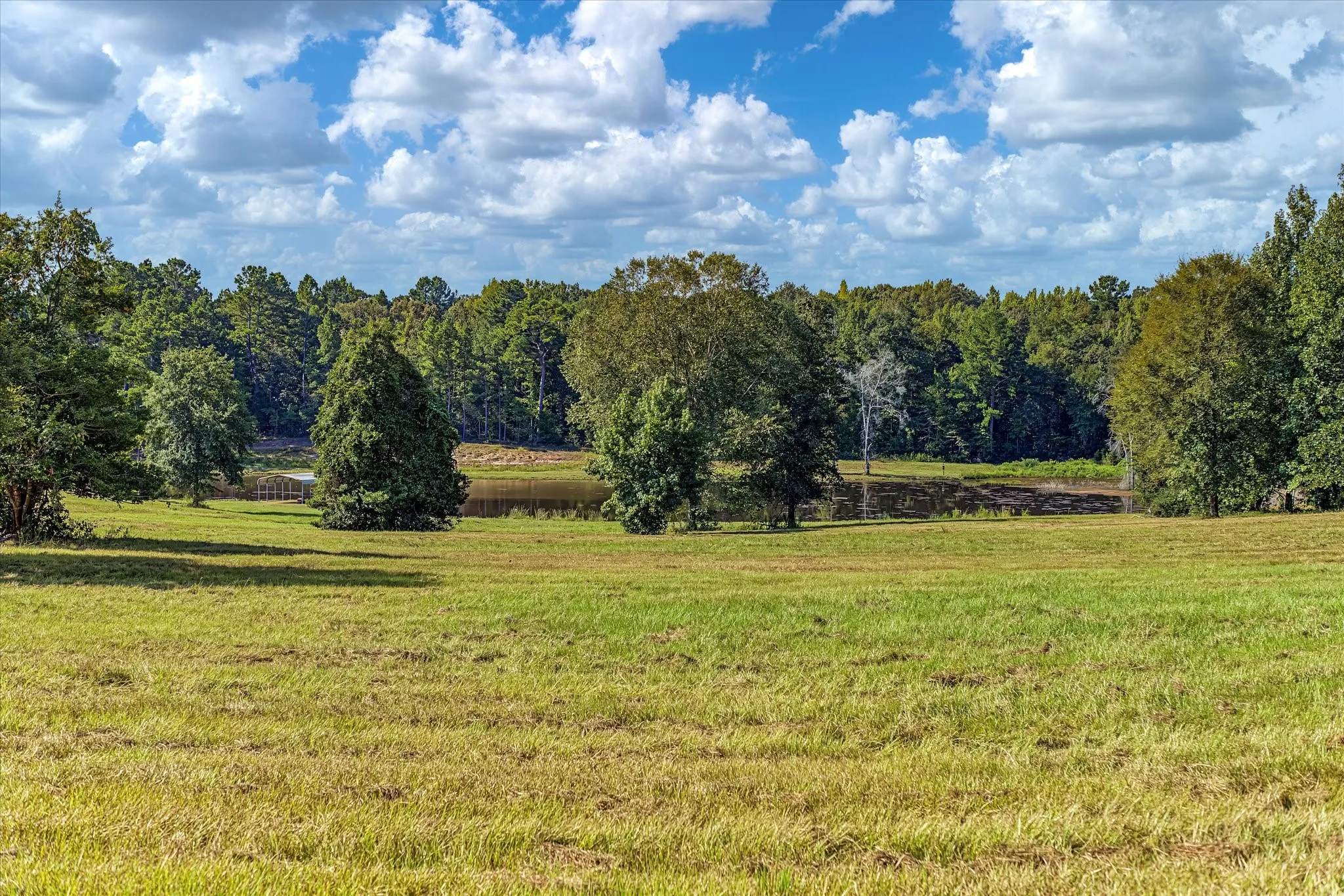 Ranch For Sale in Leon County , 5278 PR 1429, Centerville, Texas 75833, 0, 0, Garage spaces, 0 Sqft, built in 2008, mls#21378331, Real Estate Agent in Centerville, Homes For Sale in Leon county, Homes For Sale in Centerville, Realtor in Centerville Texas, Real Estate Brokerage Independent Realty Texas, Luminita Cordes Realtor