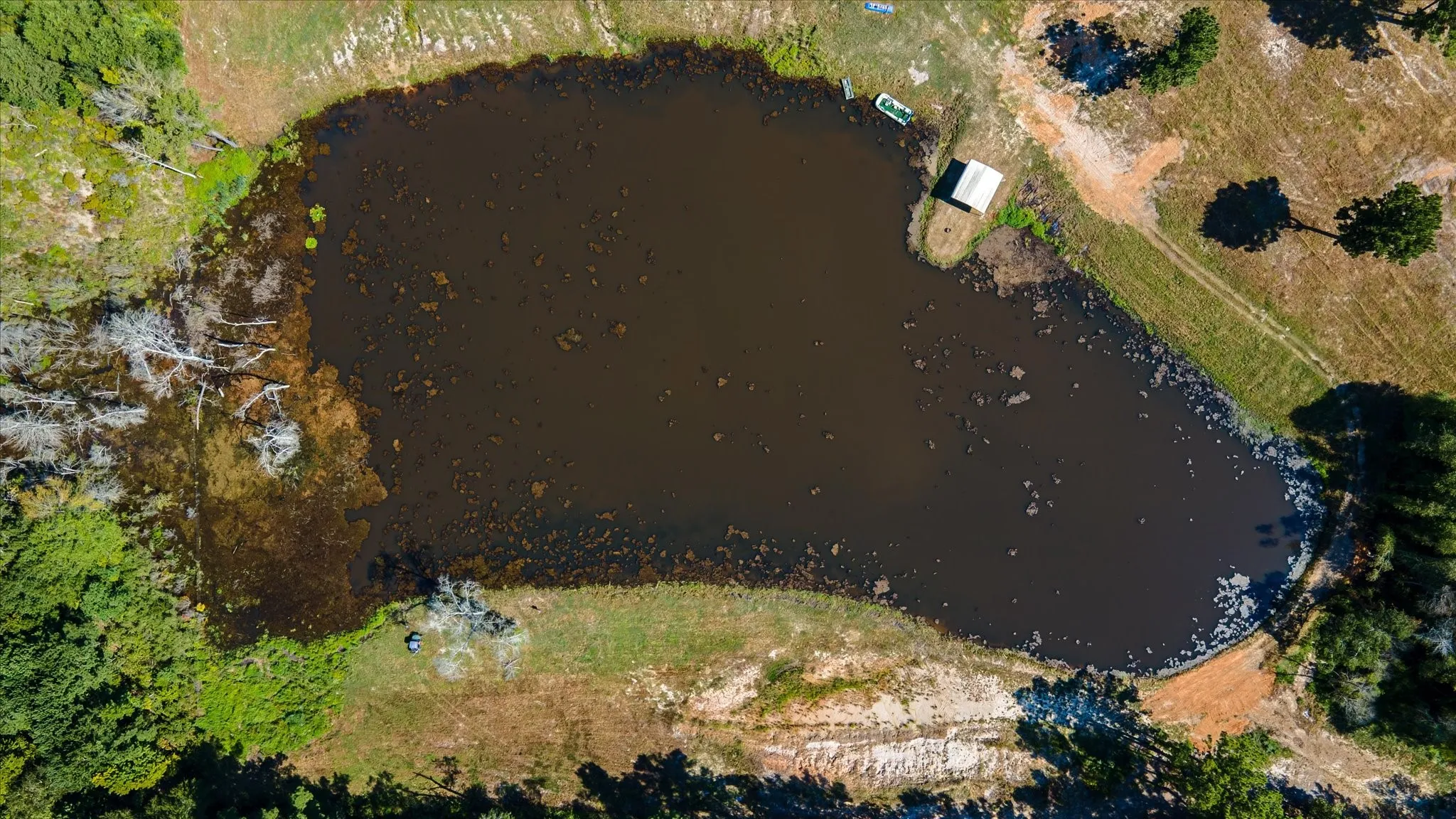 Aerial view of 4 ac stocked pond.