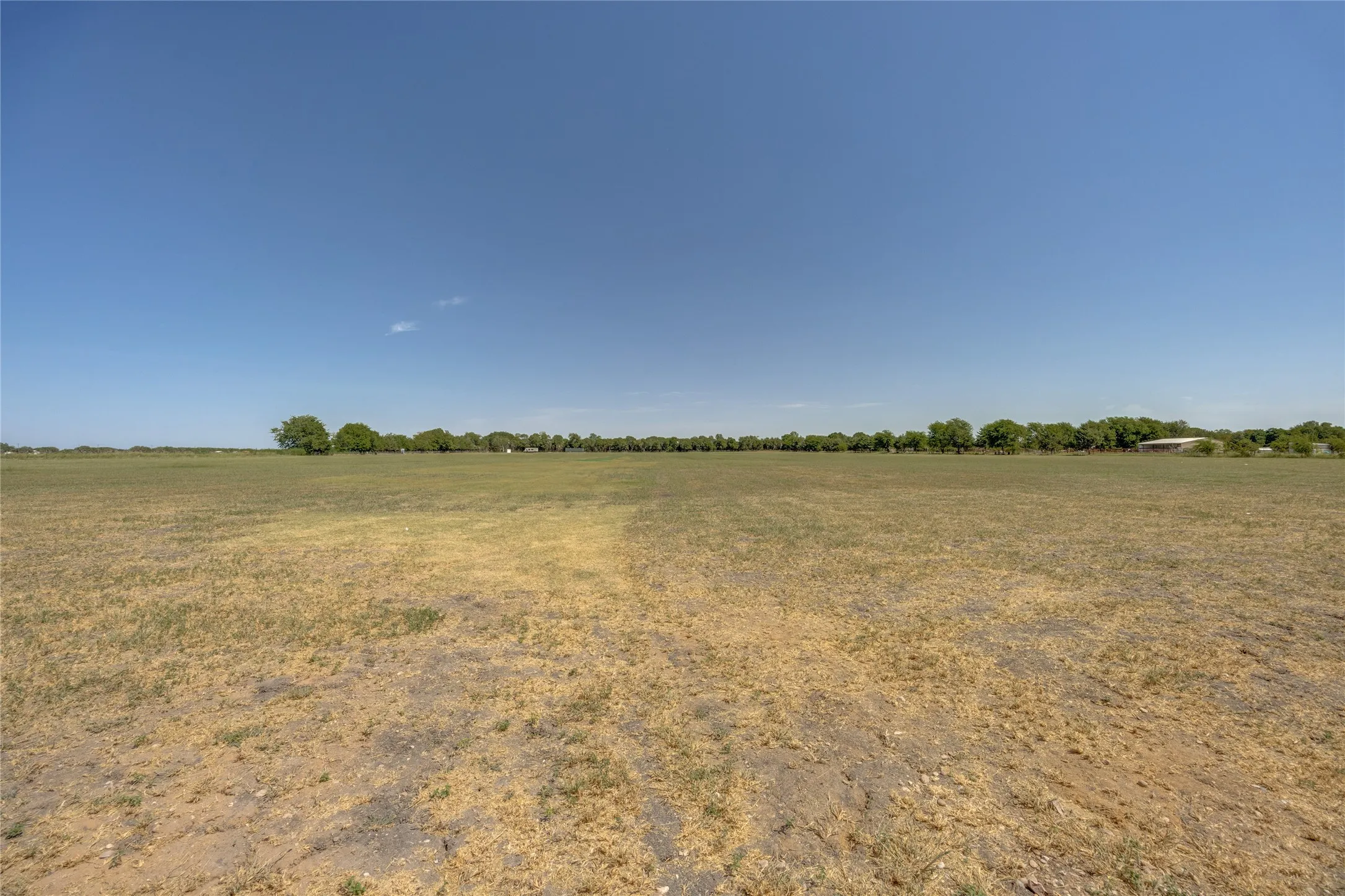 Expansive open field with distant mature trees