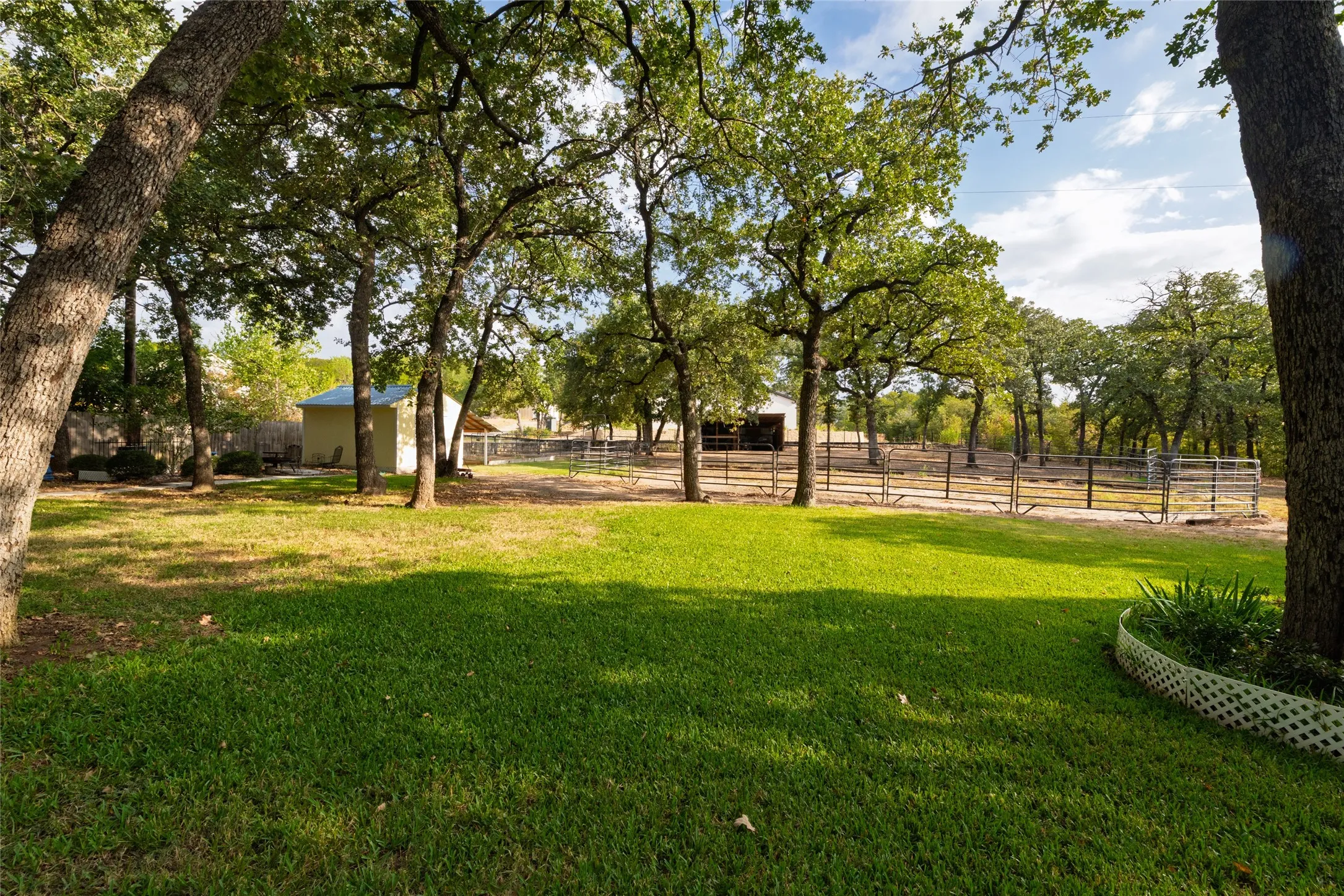 Wide open lawn with room to run, play, or just soak up the sun.