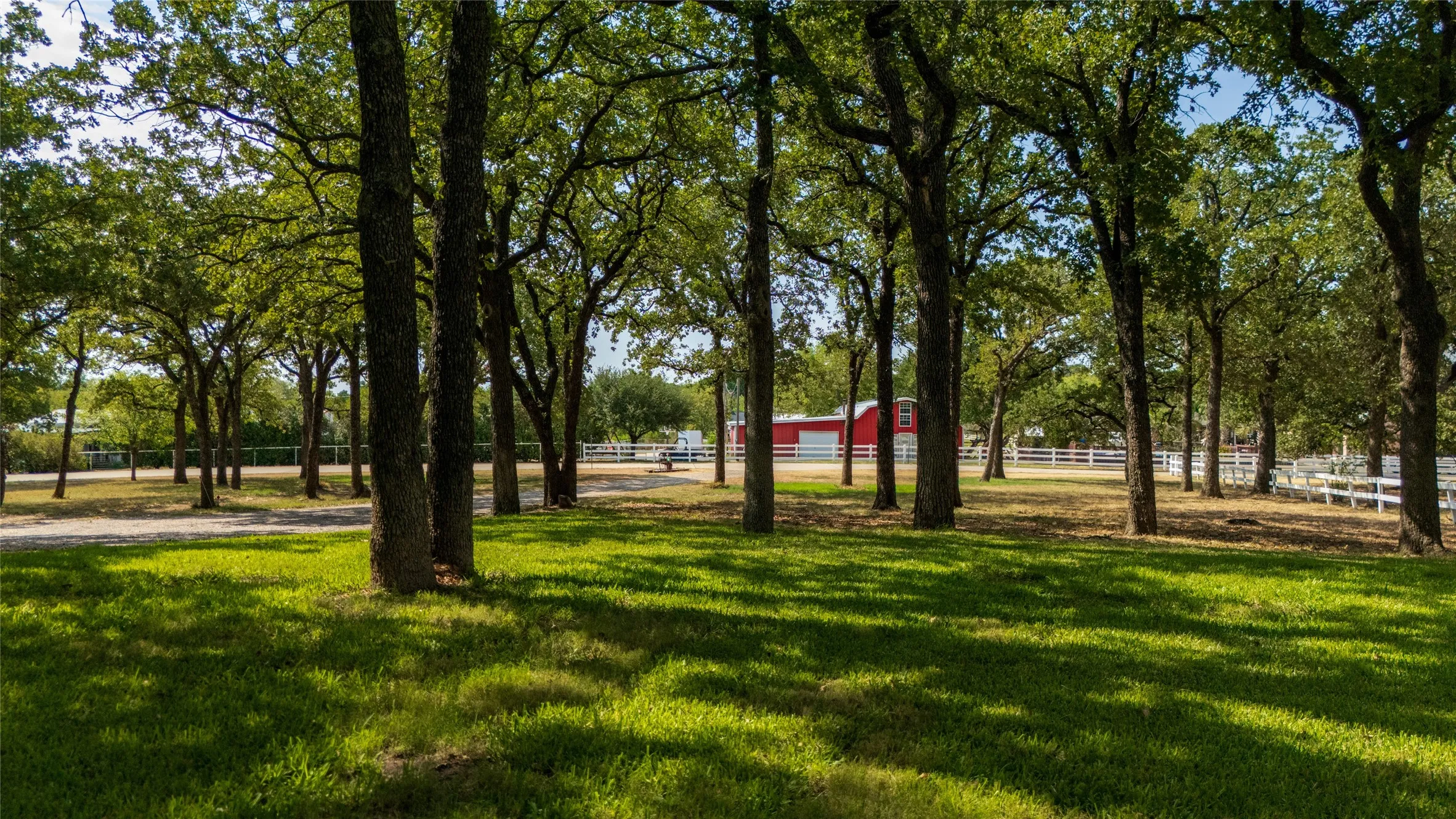Shady grass under big trees. Room for kids, pets, or a hammock.