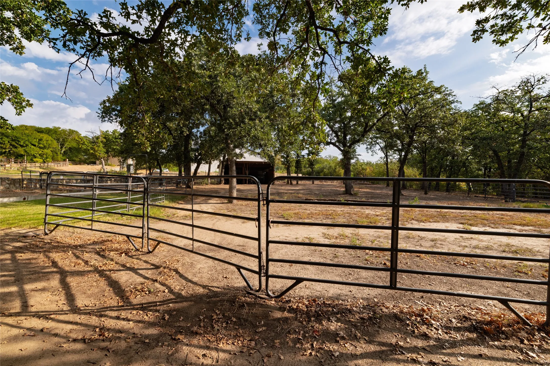 Horse corral ready to go. Bring your boots and your horses!