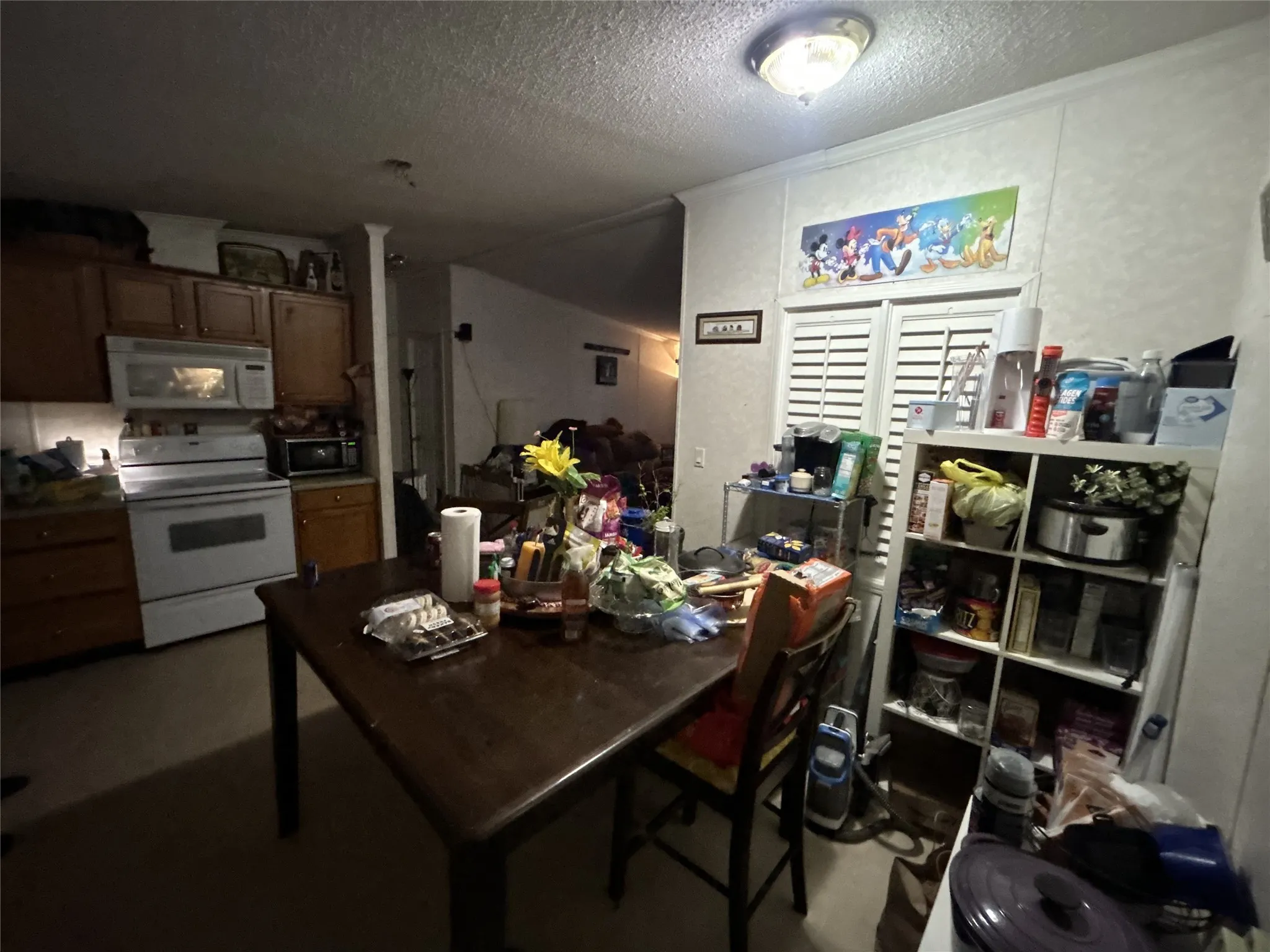 Mobile Home For Sale in Kaufman County , 7099 Terry Lea Lane, Forney, Texas 75126, 2 Bedroom, 2 Bathroom, Garage spaces, 1,484 Sqft, built in 2002, mls#21379196, Real Estate Agent in Forney, Homes For Sale in Kaufman county, Homes For Sale in Forney, Realtor in Forney Texas, Real Estate Brokerage Independent Realty Texas, Luminita Cordes Realtor