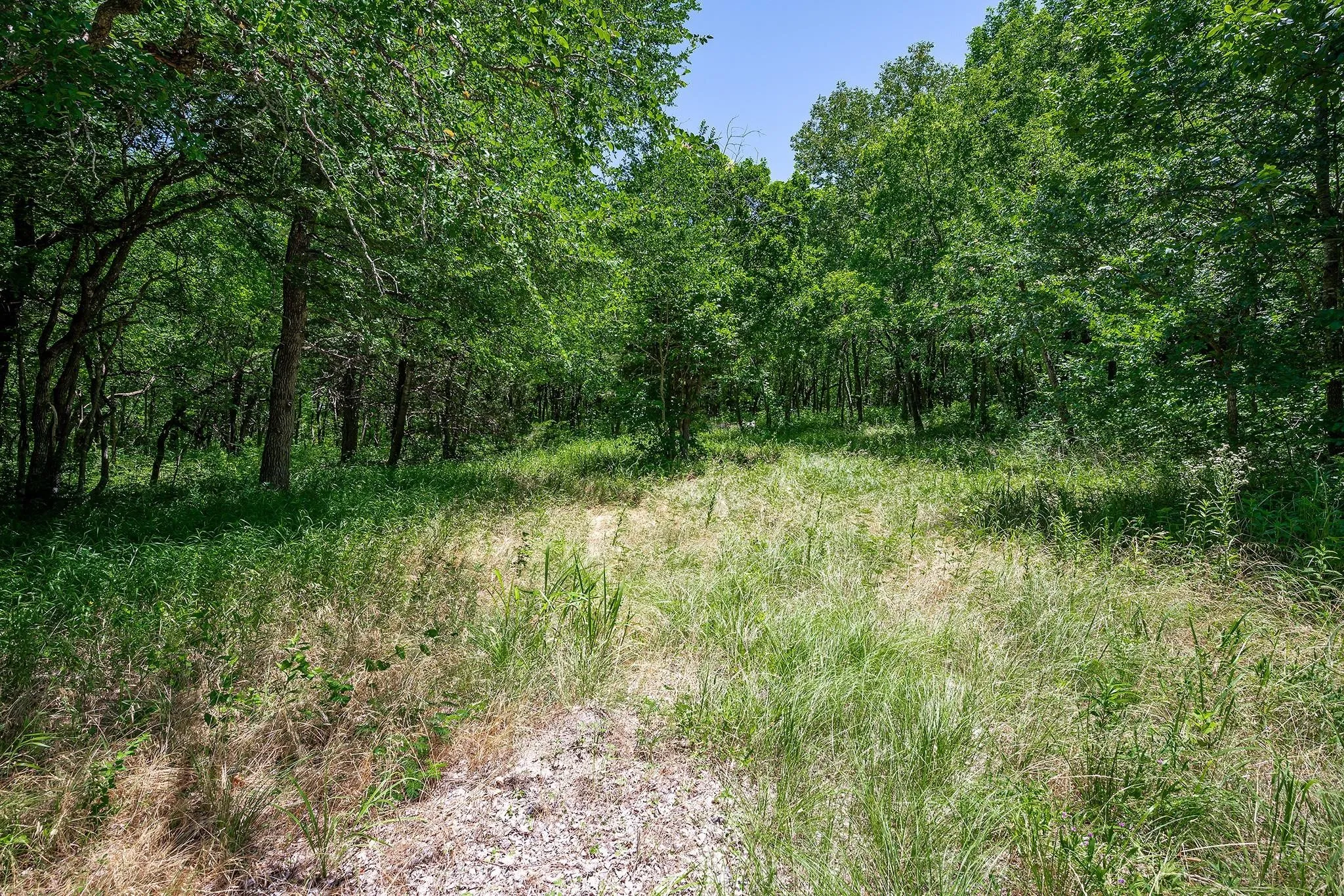 Unimproved Land For Sale in Collin County , 10710 County Road 289, Anna, Texas 75409, 0, 0, Garage spaces, 0 Sqft, built in 0, mls#21377684, Real Estate Agent in Anna, Homes For Sale in Collin county, Homes For Sale in Anna, Realtor in Anna Texas, Real Estate Brokerage Independent Realty Texas, Luminita Cordes Realtor