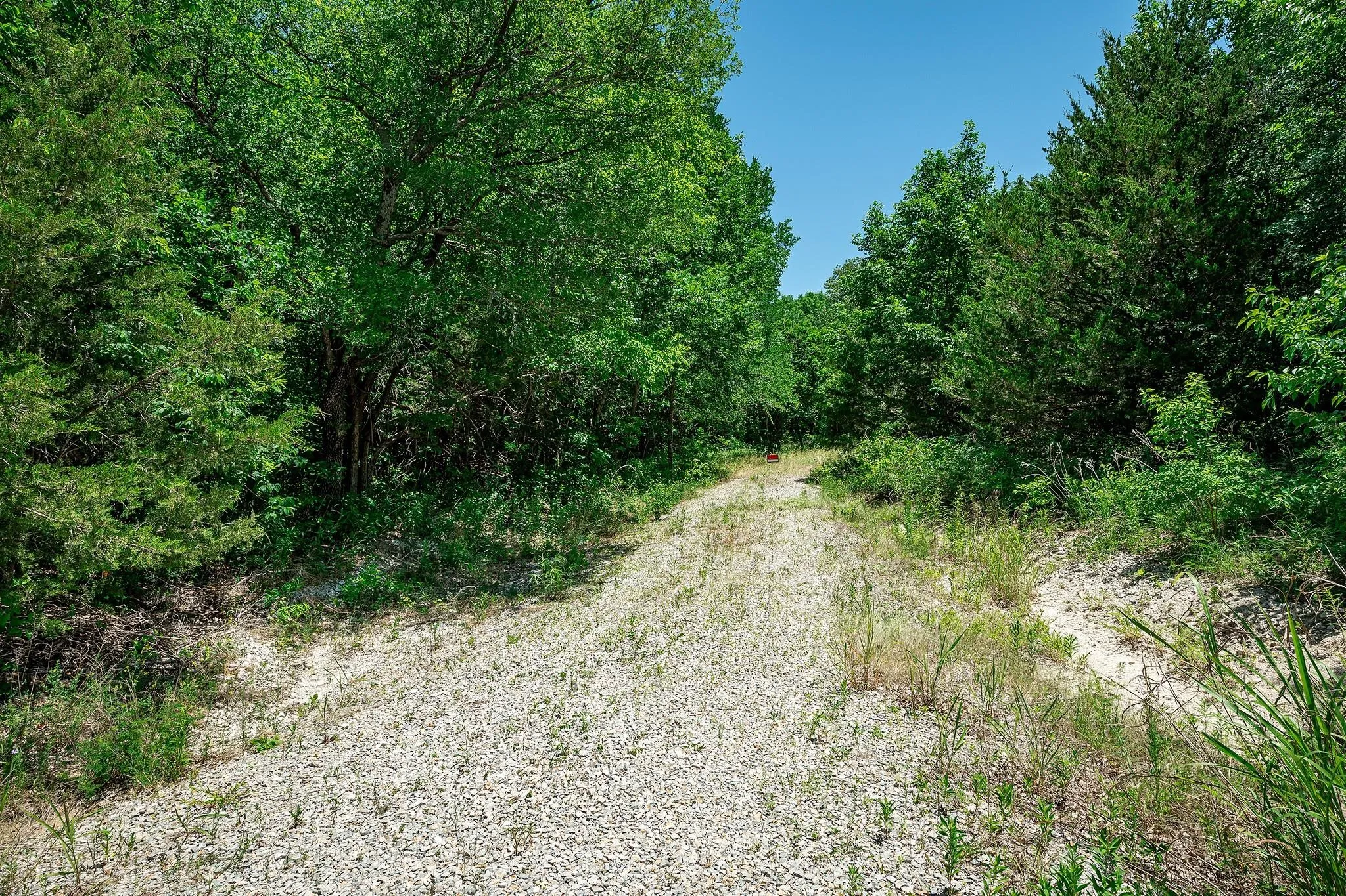 Unimproved Land For Sale in Collin County , 10710 County Road 289, Anna, Texas 75409, 0, 0, Garage spaces, 0 Sqft, built in 0, mls#21377684, Real Estate Agent in Anna, Homes For Sale in Collin county, Homes For Sale in Anna, Realtor in Anna Texas, Real Estate Brokerage Independent Realty Texas, Luminita Cordes Realtor