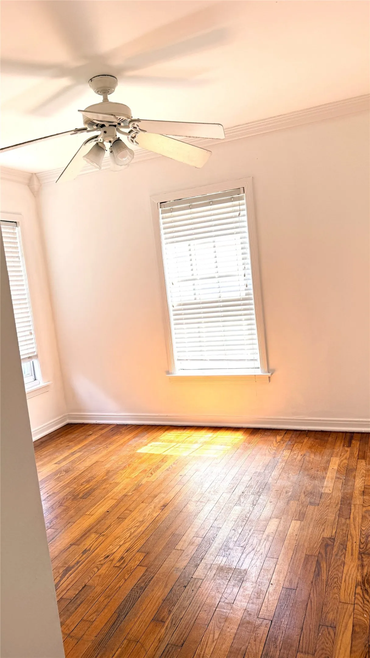 Single Family Residence For Rent in Dallas County , 1219 W Avenue F, Garland, Texas 75040, 2 Bedroom, 1 Bathroom, 1 Garage spaces, 697 Sqft, built in 1950, mls#21379229, Real Estate Agent in Garland, Homes For Rent in Dallas county, Homes For Rent in Garland, Realtor in Garland Texas, Real Estate Brokerage Independent Realty Texas, Luminita Cordes Realtor