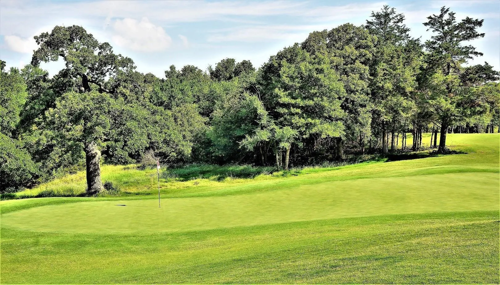 Unimproved Land For Sale in Grayson County , 196 Castlewood Street, Gordonville, Texas 76245, 0, 0, Garage spaces, 0 Sqft, built in 0, mls#21379233, Real Estate Agent in Gordonville, Homes For Sale in Grayson county, Homes For Sale in Gordonville, Realtor in Gordonville Texas, Real Estate Brokerage Independent Realty Texas, Luminita Cordes Realtor