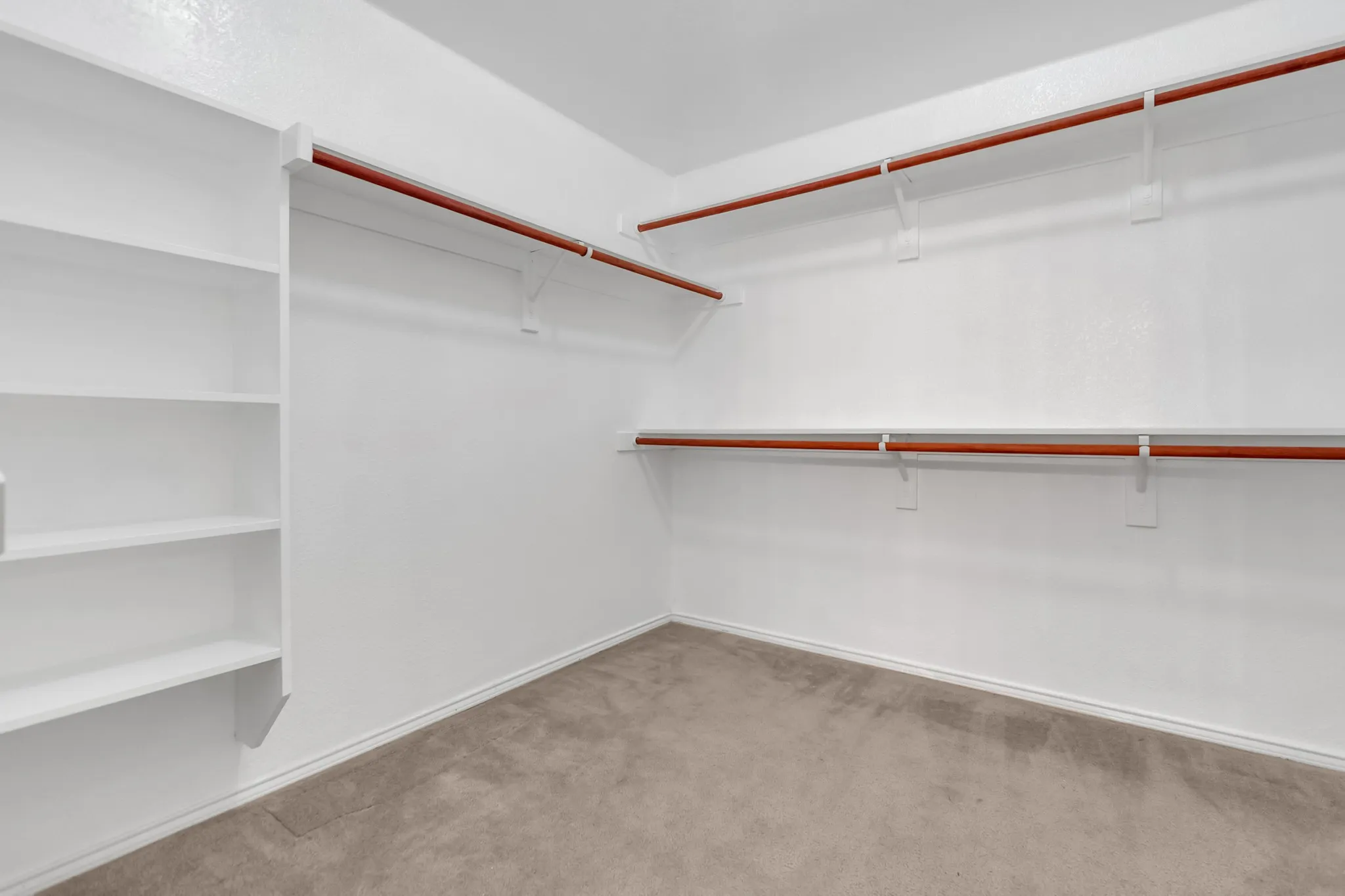 Walk-in closet with built-in shelving, multiple hanging rods, and carpet flooring