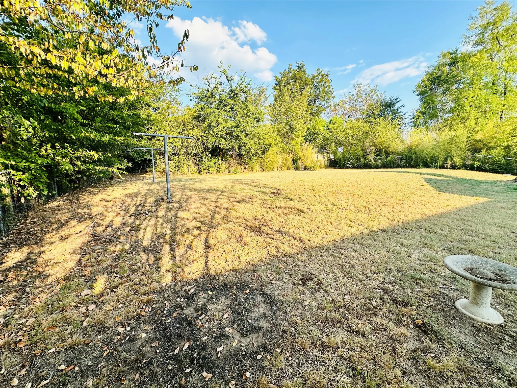 Expansive yard with mature perimeter trees, a chain-link fence, and a clothesline