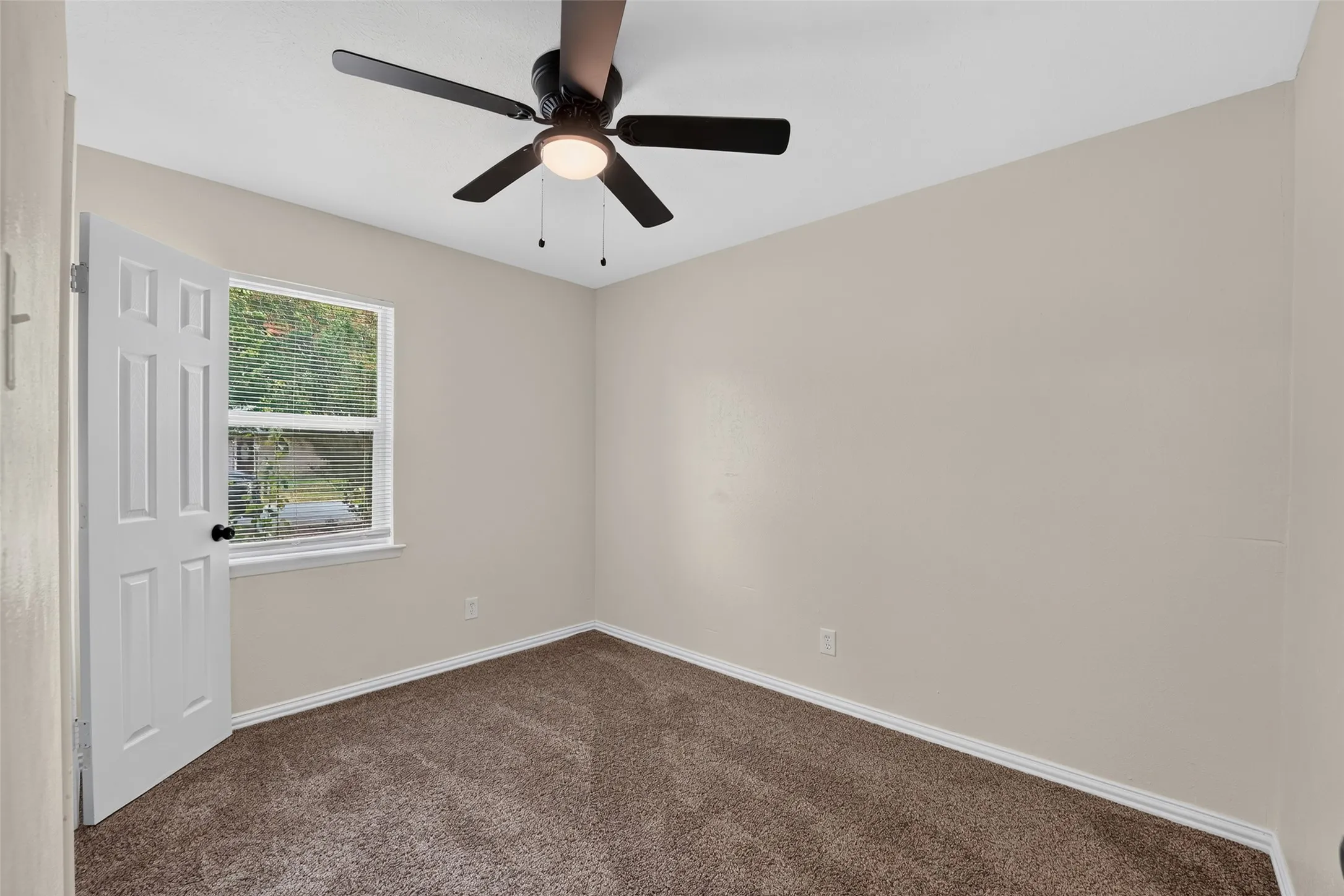 Neutral wall paint and brown carpet flooring