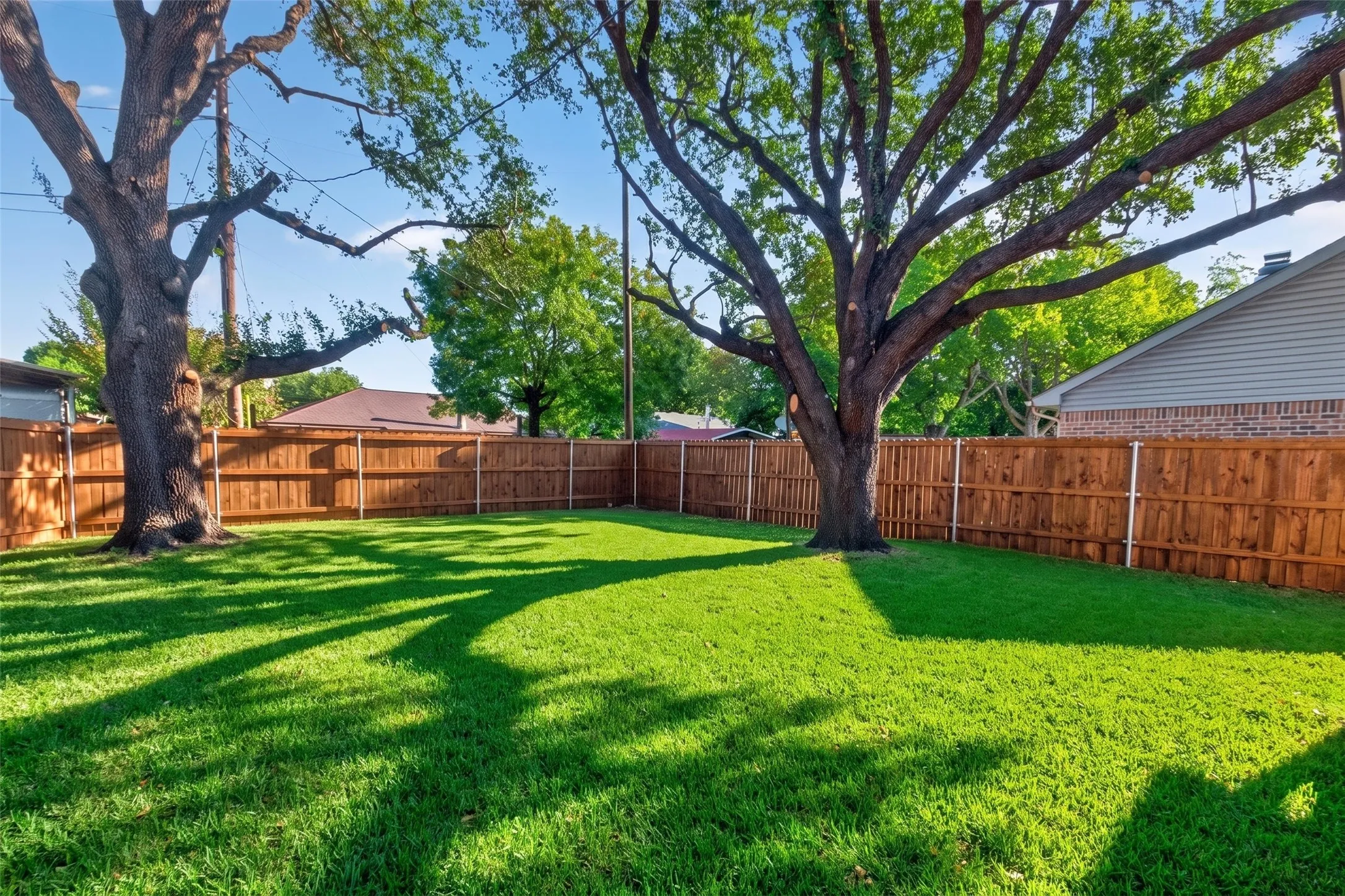 Expansive backyard featuring a manicured lawn, two mature trees, and a wooden privacy fence