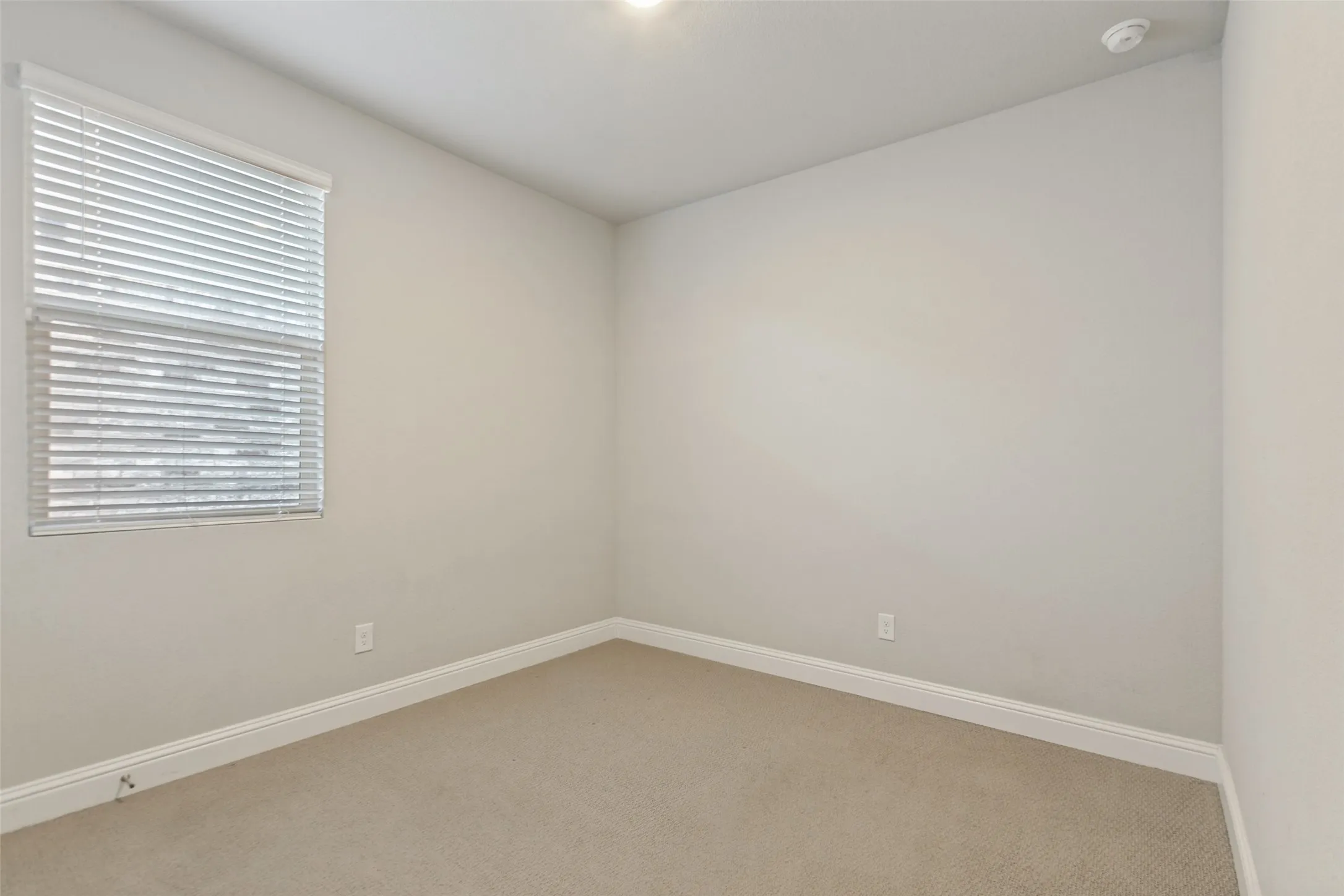 Carpeted room with a single window featuring horizontal blinds