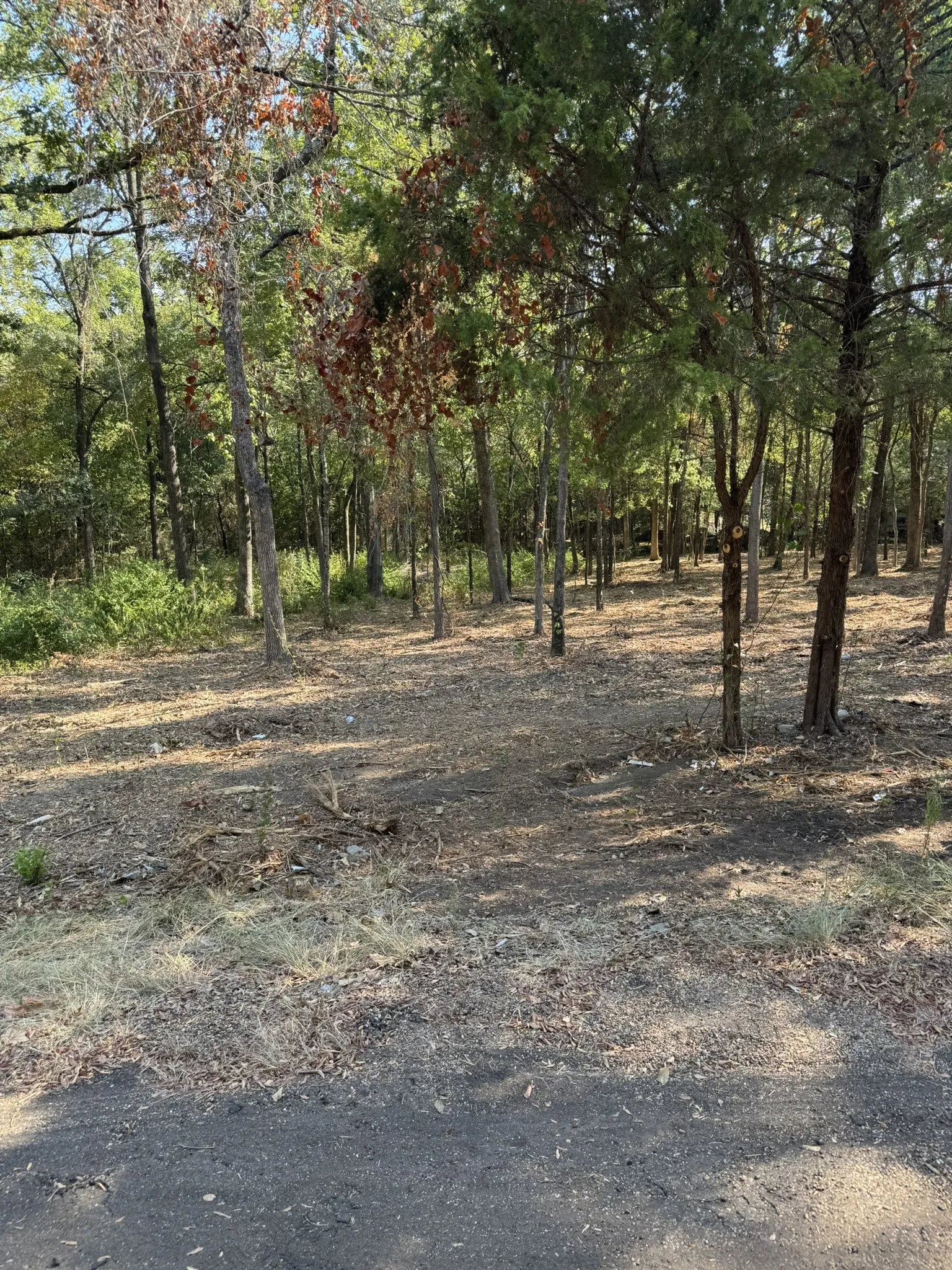 Unimproved Land For Sale in Henderson County , TBD Garner Drive, Mabank, Texas 75156, 0, 0, Garage spaces, 0 Sqft, built in 0, mls#21379354, Real Estate Agent in Mabank, Homes For Sale in Henderson county, Homes For Sale in Mabank, Realtor in Mabank Texas, Real Estate Brokerage Independent Realty Texas, Luminita Cordes Realtor