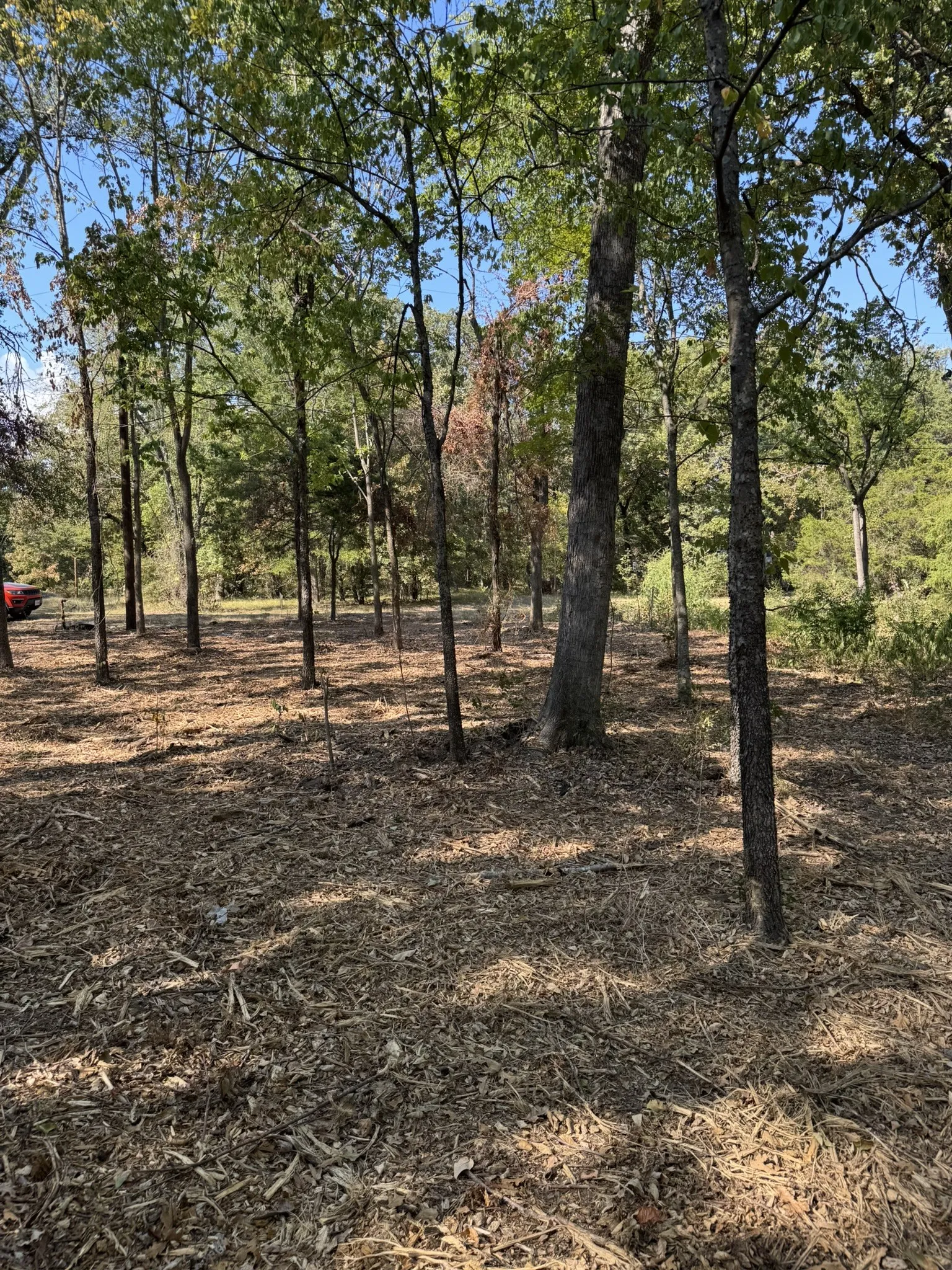 Unimproved Land For Sale in Henderson County , TBD Garner Drive, Mabank, Texas 75156, 0, 0, Garage spaces, 0 Sqft, built in 0, mls#21379354, Real Estate Agent in Mabank, Homes For Sale in Henderson county, Homes For Sale in Mabank, Realtor in Mabank Texas, Real Estate Brokerage Independent Realty Texas, Luminita Cordes Realtor