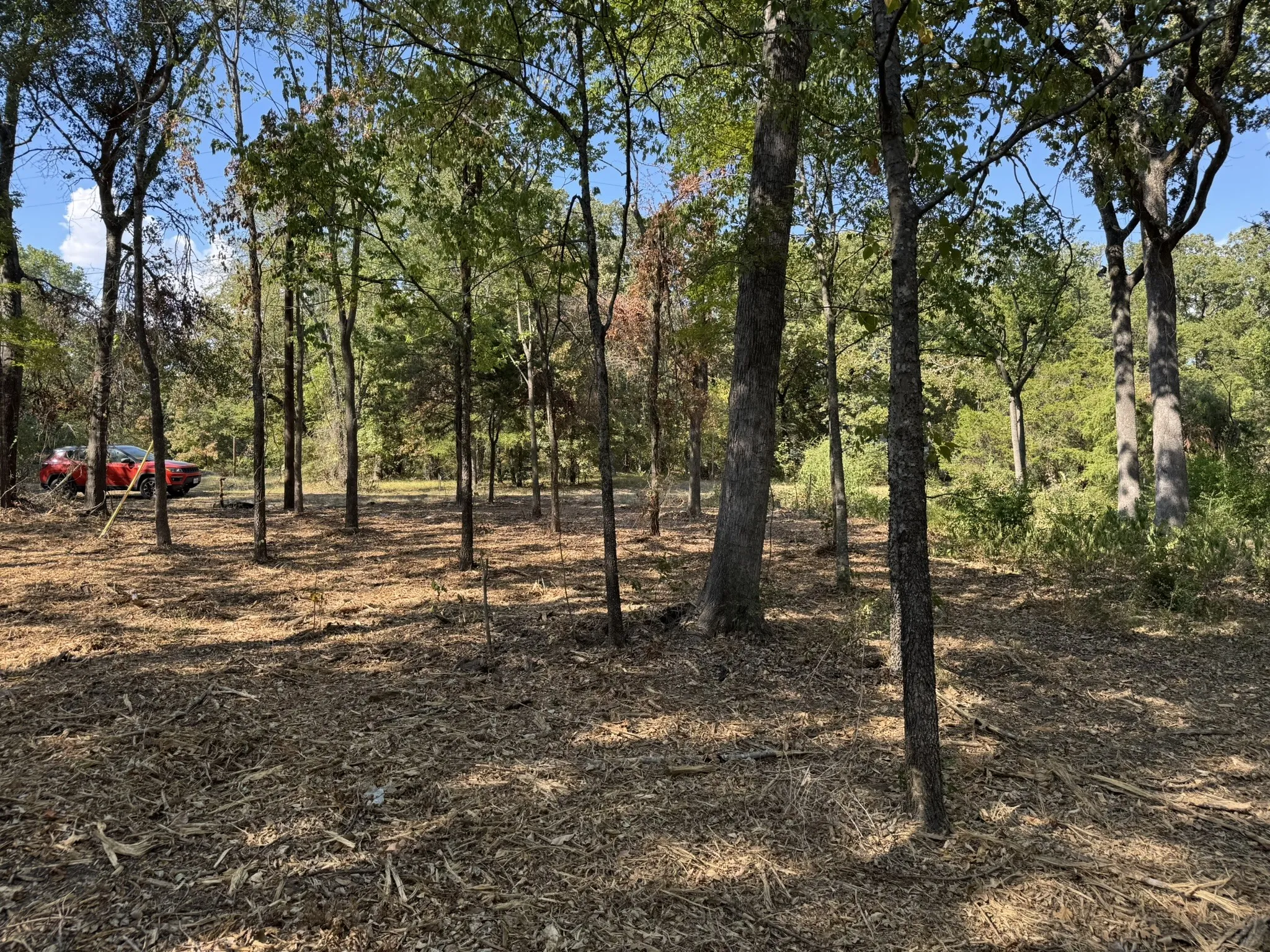 Unimproved Land For Sale in Henderson County , TBD Garner Drive, Mabank, Texas 75156, 0, 0, Garage spaces, 0 Sqft, built in 0, mls#21379354, Real Estate Agent in Mabank, Homes For Sale in Henderson county, Homes For Sale in Mabank, Realtor in Mabank Texas, Real Estate Brokerage Independent Realty Texas, Luminita Cordes Realtor