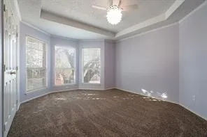 Spare room with plenty of natural light, carpet floors, ornamental molding, and a raised ceiling