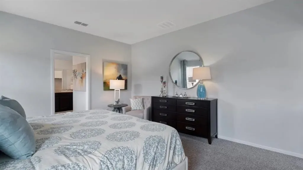 Carpeted flooring, light grey wall paint, and a built-in closet with a sliding door