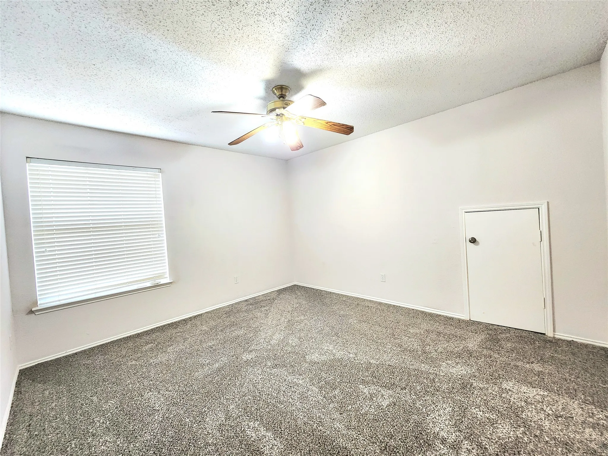 Wall-to-wall carpeting and neutral wall tones
