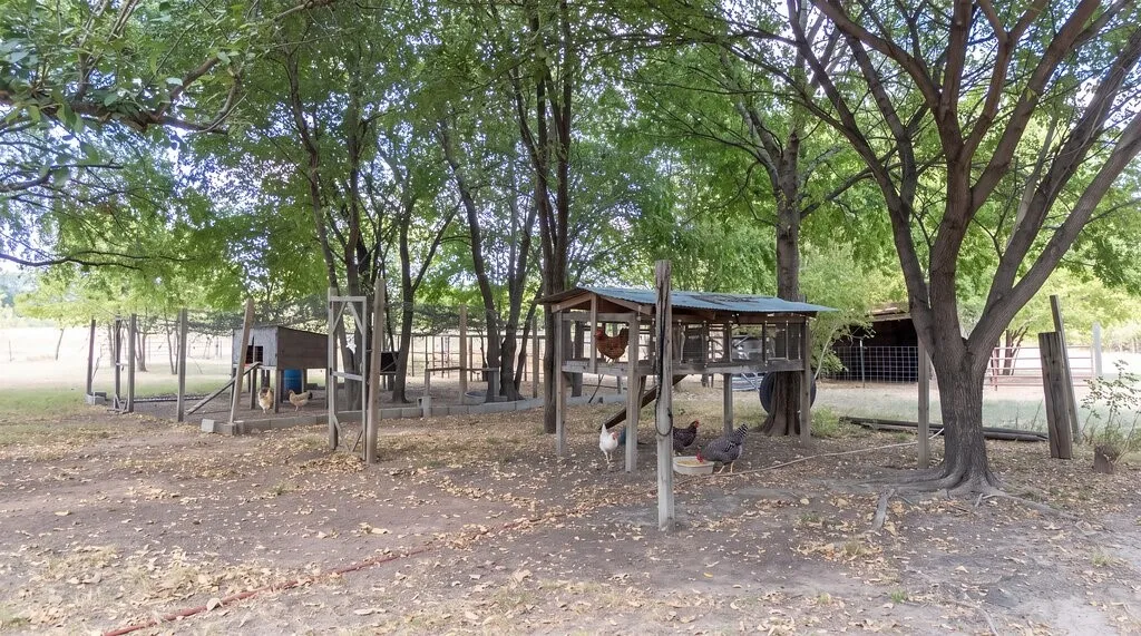 Single Family Residence For Sale in Ellis County , 303 Pump House Road, Ennis, Texas 75119, 3 Bedroom, 2 Bathroom, 4 Garage spaces, 2,000 Sqft, built in 1980, mls#21377410, Real Estate Agent in Ennis, Homes For Sale in Ellis county, Homes For Sale in Ennis, Realtor in Ennis Texas, Real Estate Brokerage Independent Realty Texas, Luminita Cordes Realtor