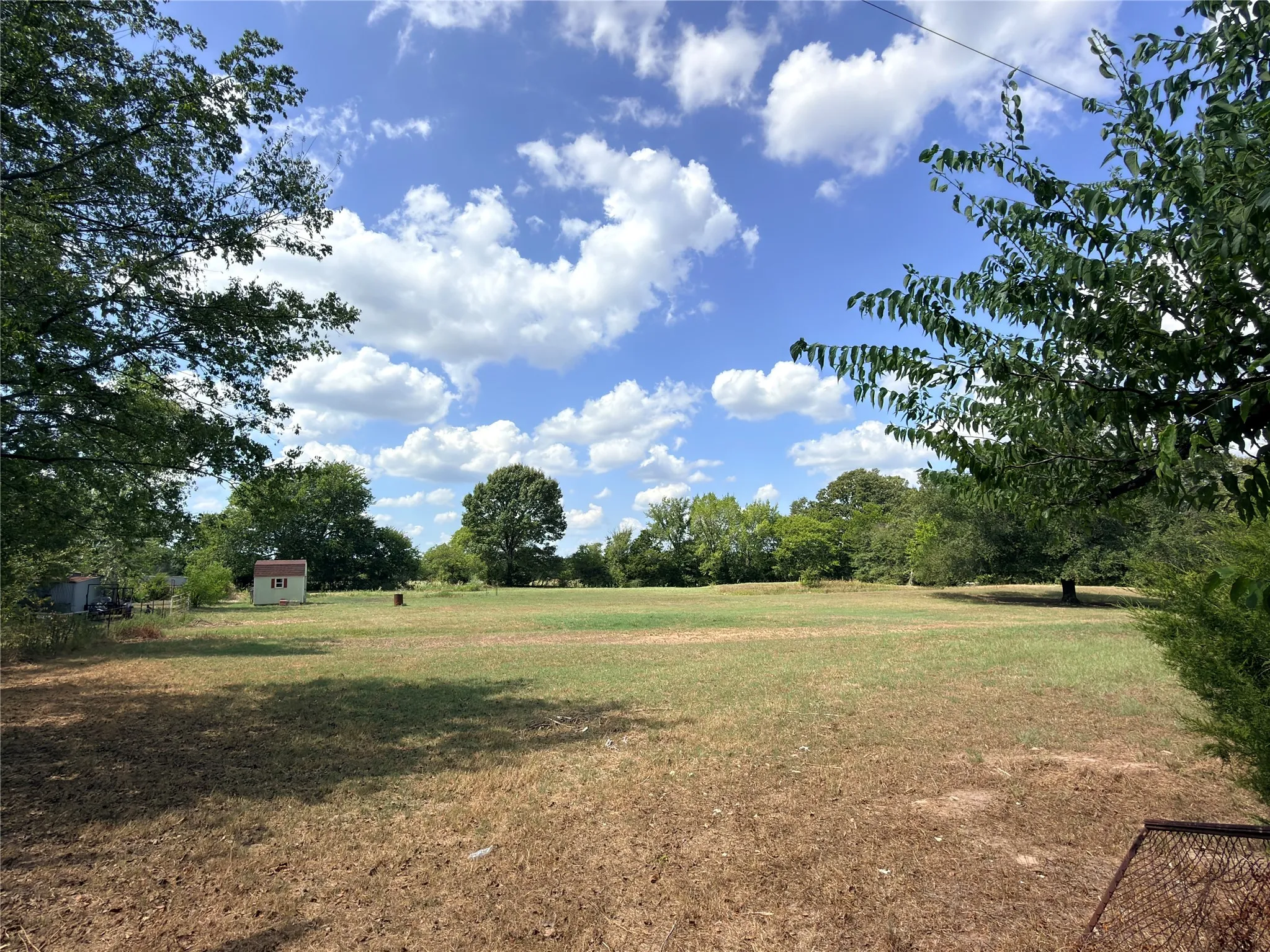 Expansive outdoor space featuring a detached storage shed and mature trees