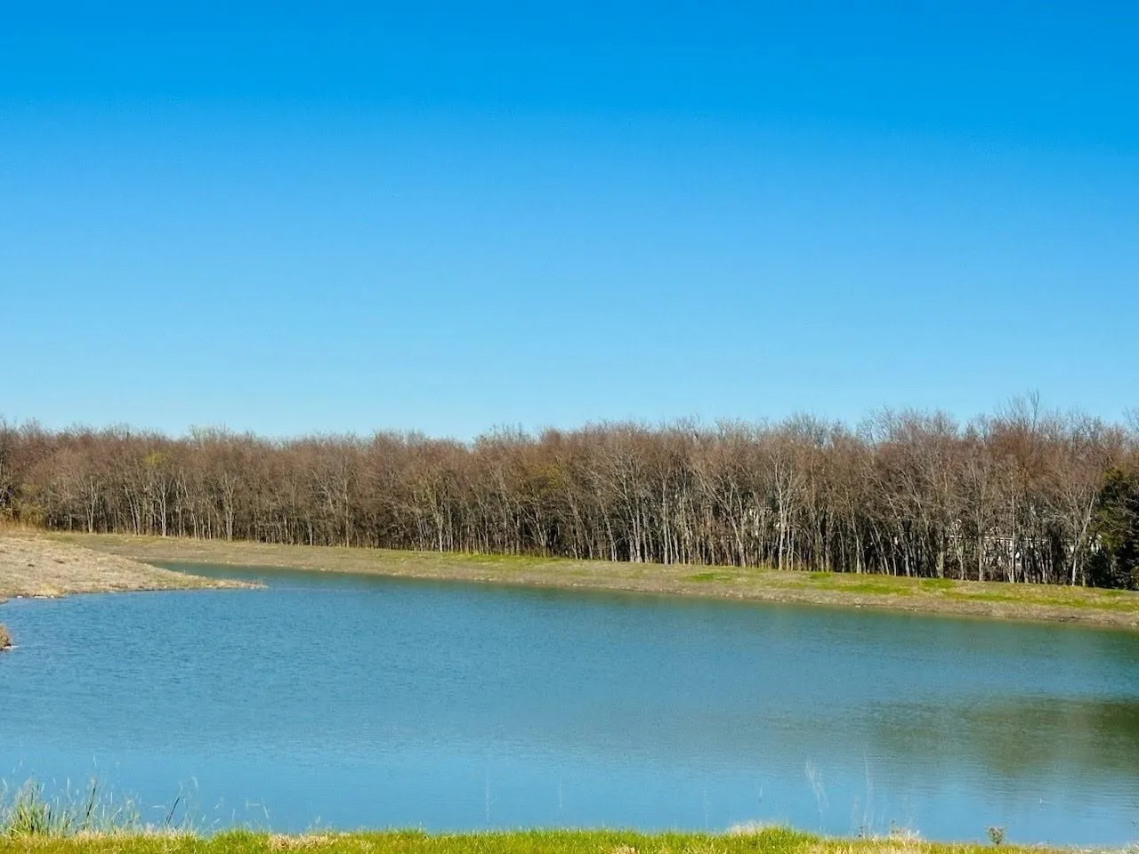 Single Family Residence For Rent in Collin County , 1230 Cherry Bark Drive, Princeton, Texas 75407, 3 Bedroom, 2 Bathroom, 2 Garage spaces, 1,440 Sqft, built in 2023, mls#21379390, Real Estate Agent in Princeton, Homes For Rent in Collin county, Homes For Rent in Princeton, Realtor in Princeton Texas, Real Estate Brokerage Independent Realty Texas, Luminita Cordes Realtor